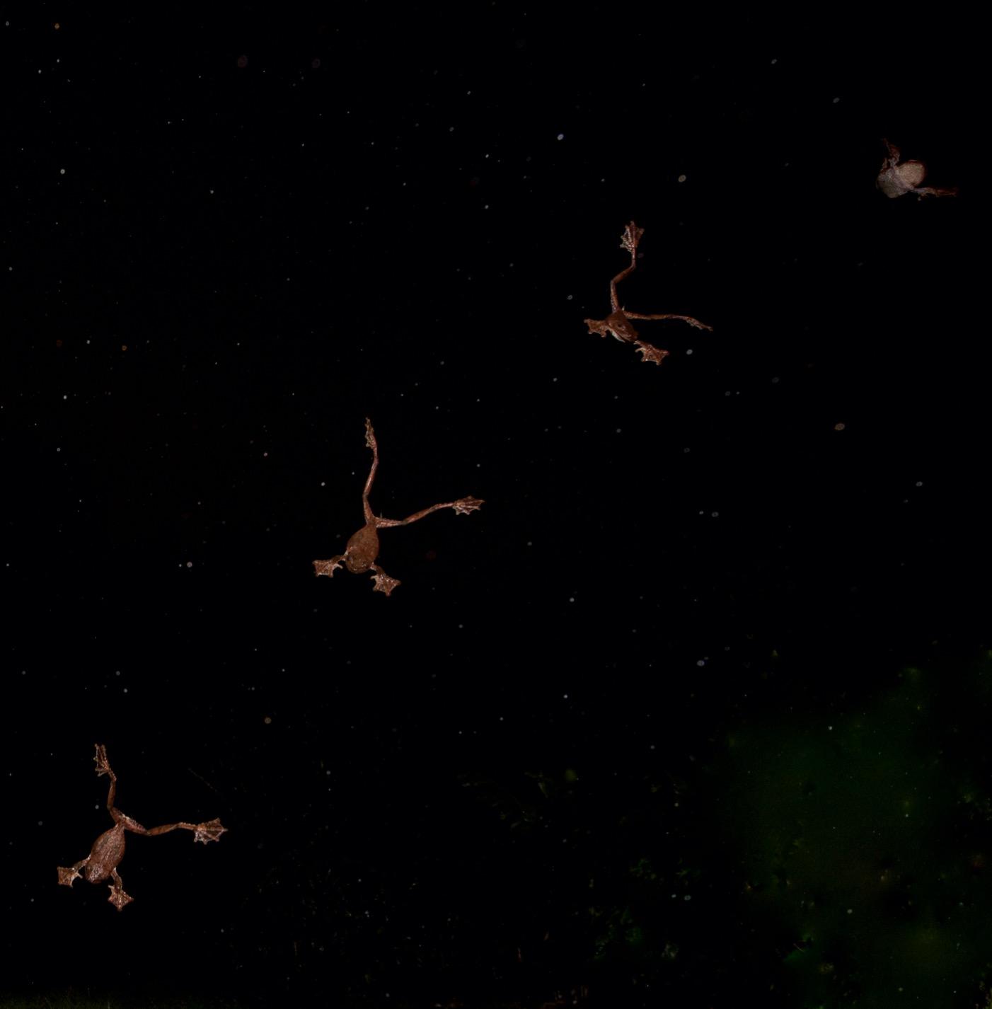 Canon improved performance Speedlite 600EX II-RT, Black (1177C002) - Customer Photo 1