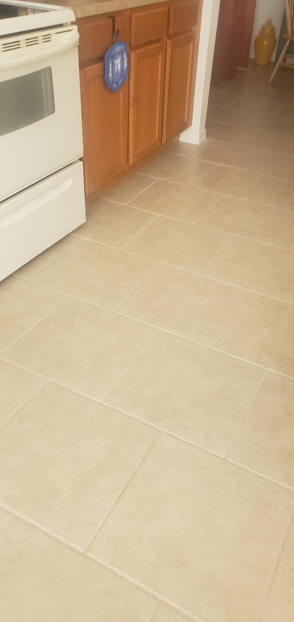 Bissell Steam Mop, Steamer, Tile, Hard Wood Floor Cleaner, 1806, Sapphire Powerfresh Deluxe - Customer Photo 1