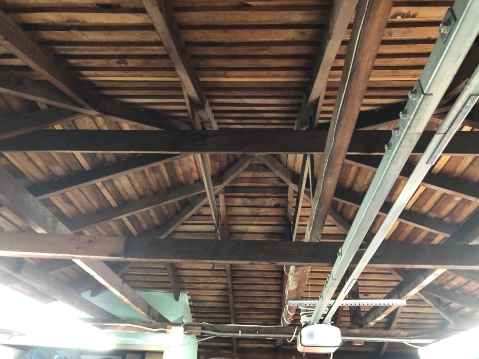 Bora-Care Termiticide Insecticide and Fungicide Concentrate, Wood Treatment for Termite and Beetle Prevention, 1 Gallon - Customer Photo 2