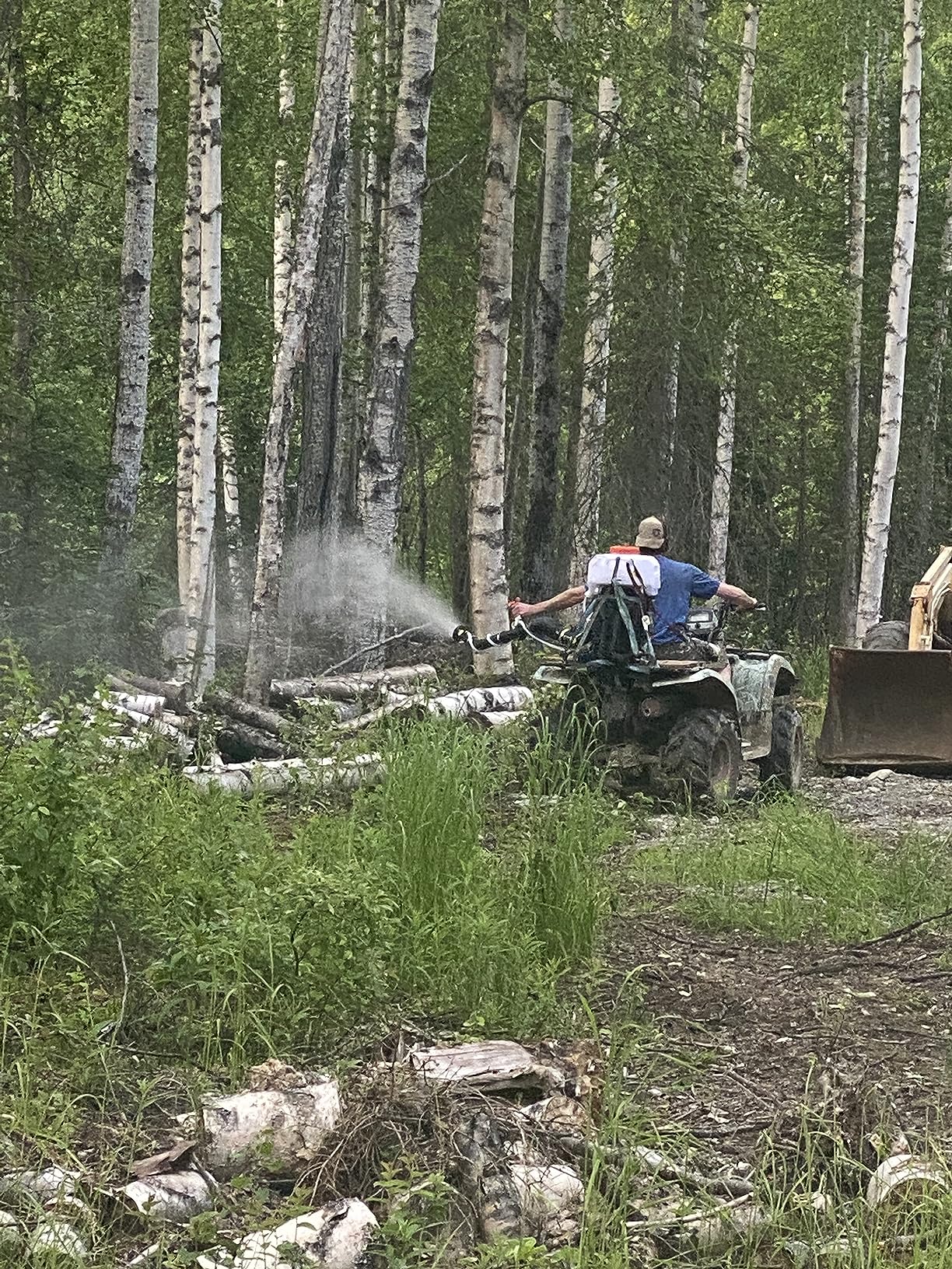 Ortho Home Defense Insect Killer for Lawn and Landscape Ready-To-Spray, Kills Ants, Ticks, Mosquitoes, Fleas & Spiders, Treats up to 5,300 sq. ft., 32 fl. oz. - Customer Photo 2