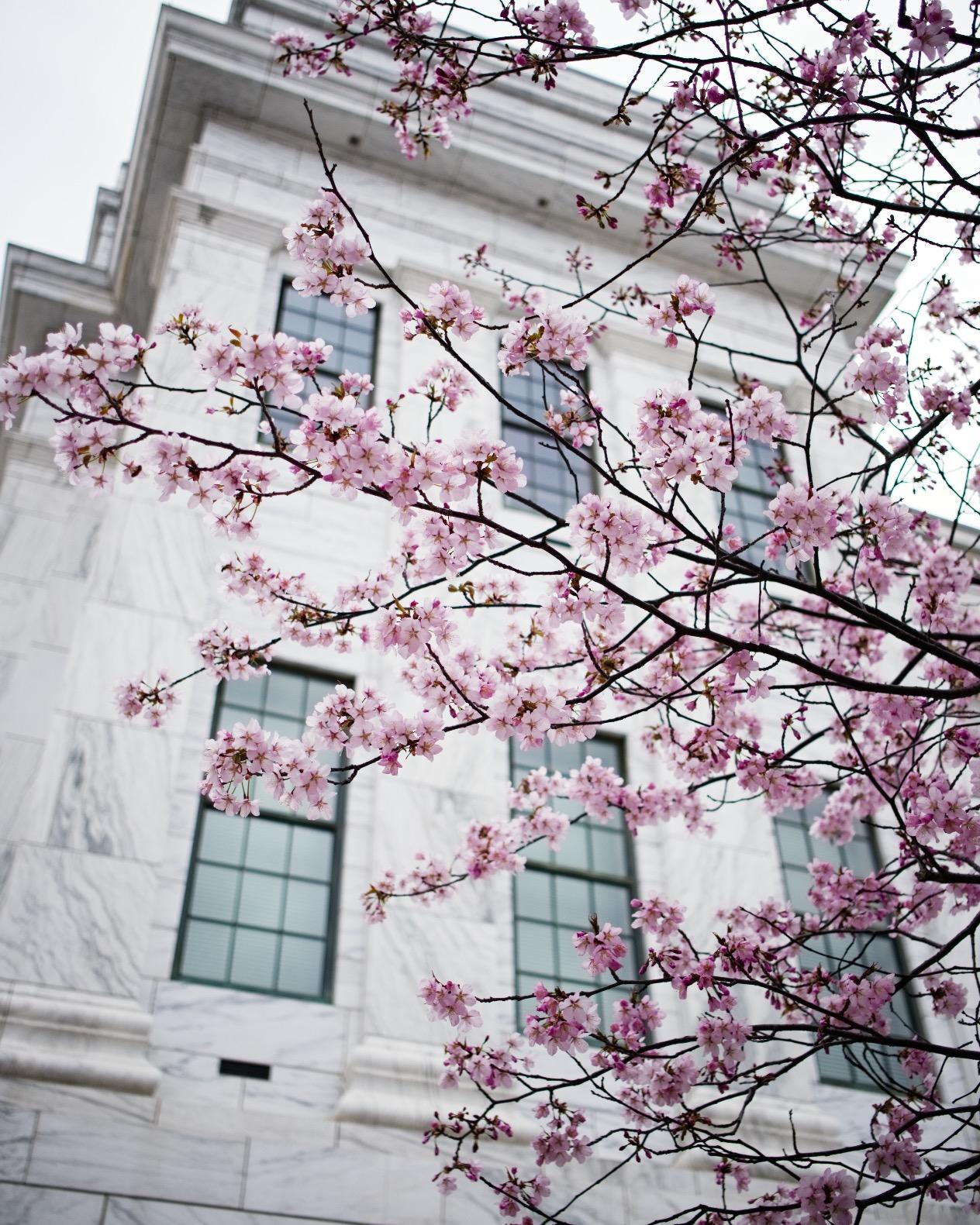 Fujifilm Fujinon XF23mmF2 R WR - Black - Customer Photo 2