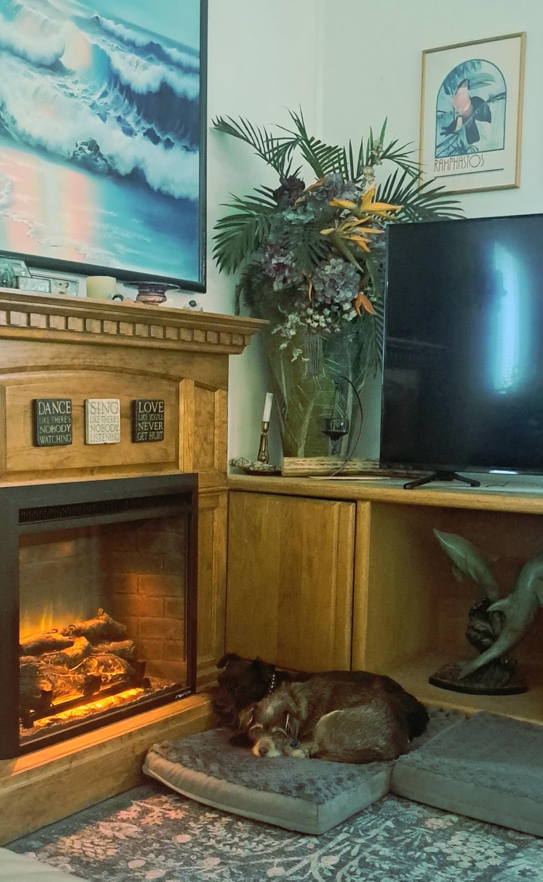 PuraFlame Western Electric Fireplace Insert with Fire Crackling Sound, Remote Control, 750/1500W, Black, 33 1/16 Inches Wide, 25 9/16 Inches High - Customer Photo 1