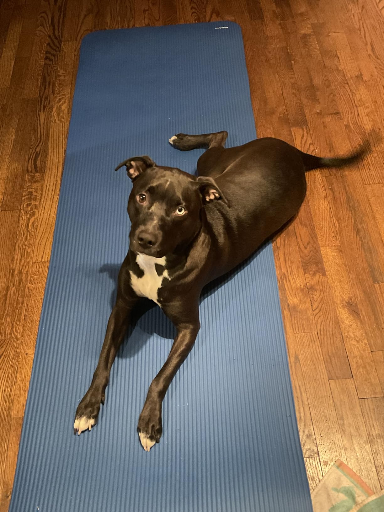 Amazon Basics Extra Thick Exercise Yoga Mat with Carrying Strap - Customer Photo 2