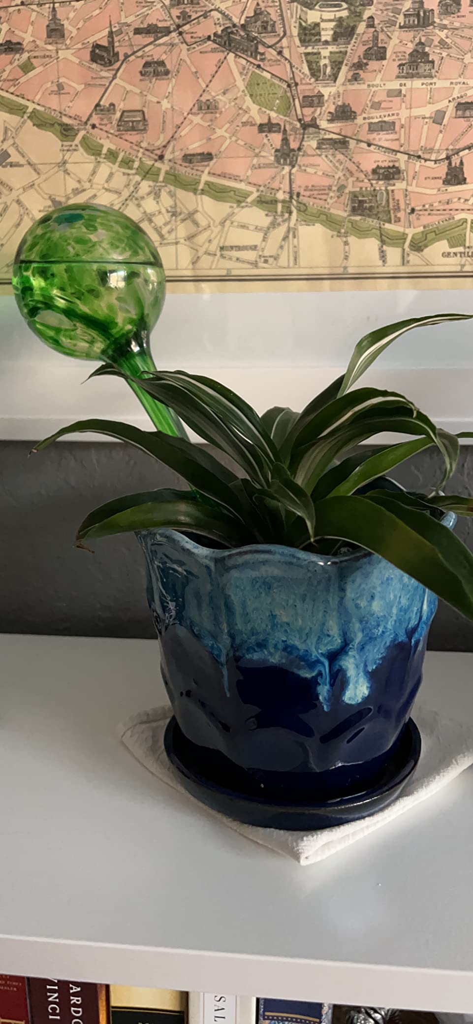 Plant Watering Globe Set, Set of 3, Indoor & Outdoor, Colorful Multicolored Hand-Blown Glass for Everyday Use - Customer Photo 1