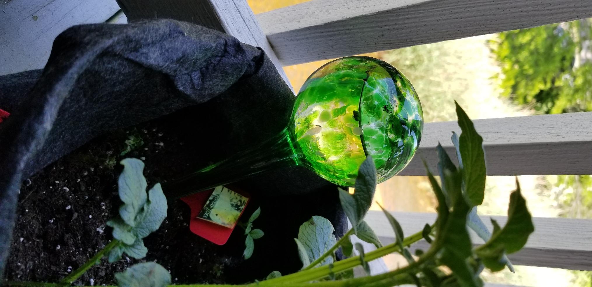 Plant Watering Globe Set, Set of 3, Indoor & Outdoor, Colorful Multicolored Hand-Blown Glass for Everyday Use - Customer Photo 2