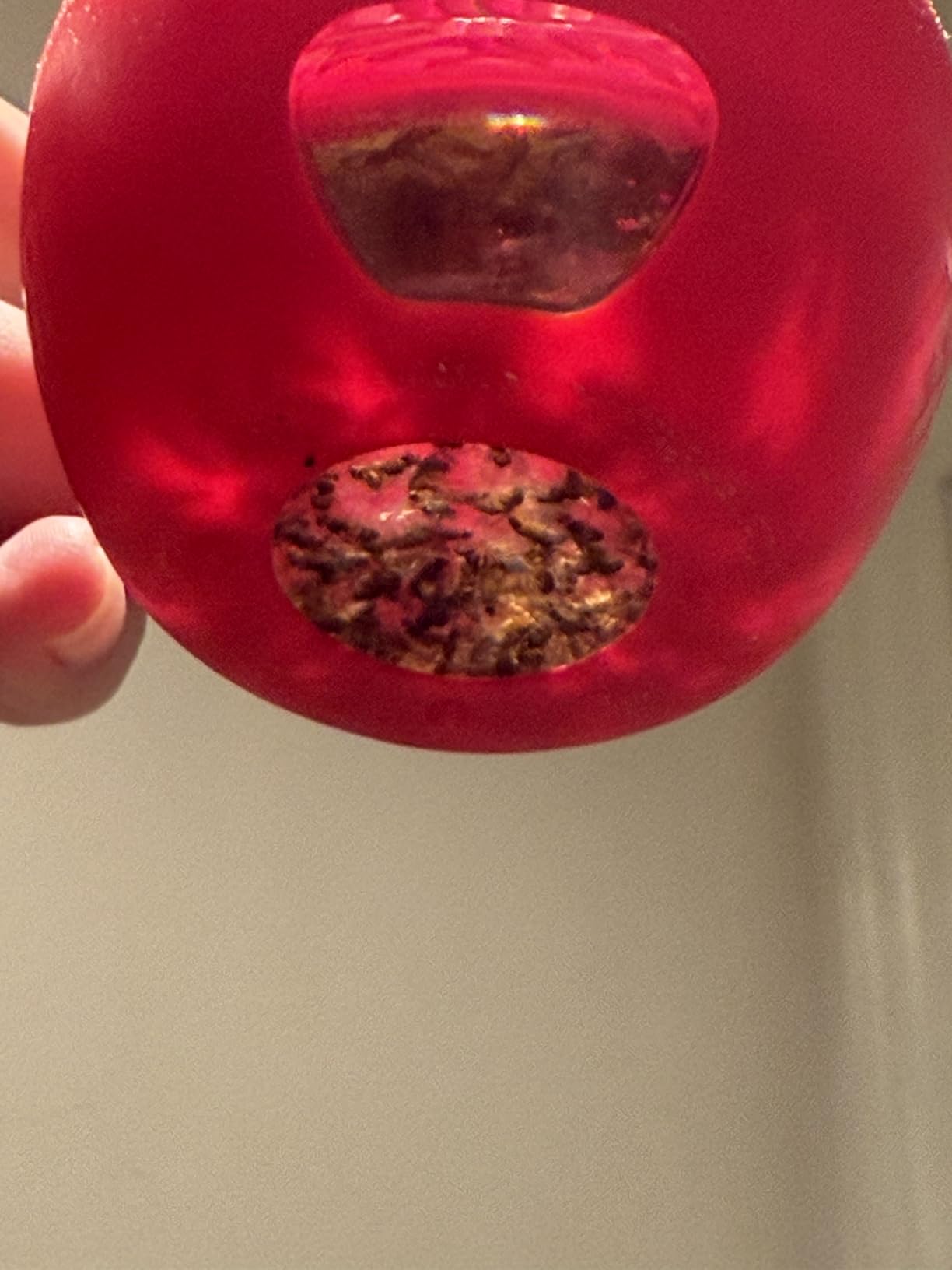 TERRO Fruit Fly Traps for Indoors (4 Pack) + 180 Days of Lure Supply - T2503SR - Lure and Kill Indoor Fruit Flies Customer Review TERRO Fruit Fly Traps for Indoors (4 Pack) + 180 Days of Lure Supply - T2503SR - Lure and Kill Indoor Fruit Flies - Customer Photo 1