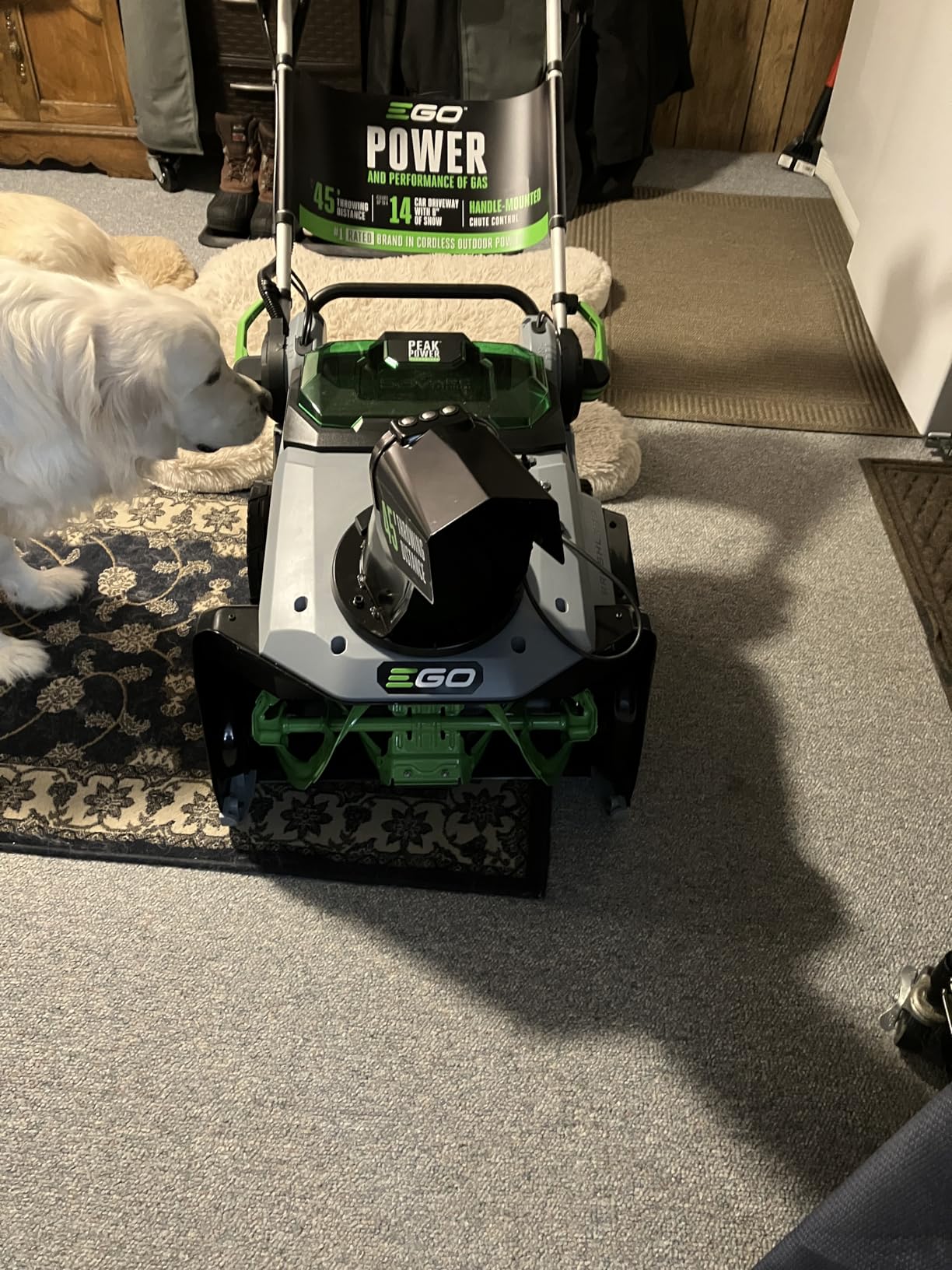 EGO Power+ SNT2102 21-Inch 56-Volt Lithium-Ion Cordless Snow Blower with Peak Power - (2) 5.0Ah Batteries and Rapid Charger Included - Customer Photo 1
