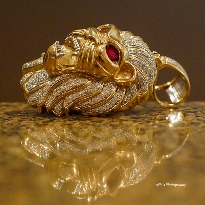 Sony SEL100F28GM 100mm f2.8 Medium-telephoto Fixed Prime Camera Lens, Black - Customer Photo 1