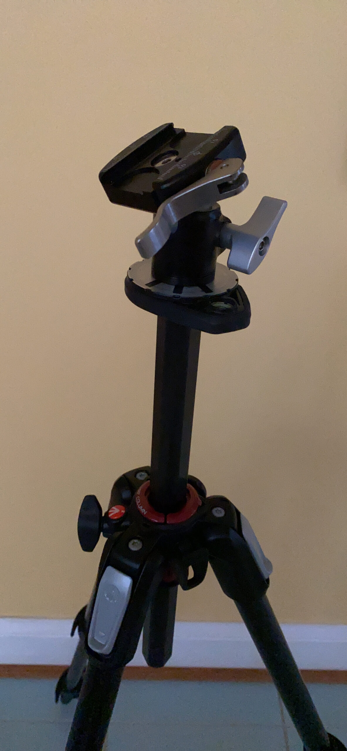 Really Right Stuff BH-25 Ball Head with Compact Lever-Release Clamp, 8.8 lb Capacity - Customer Photo 1