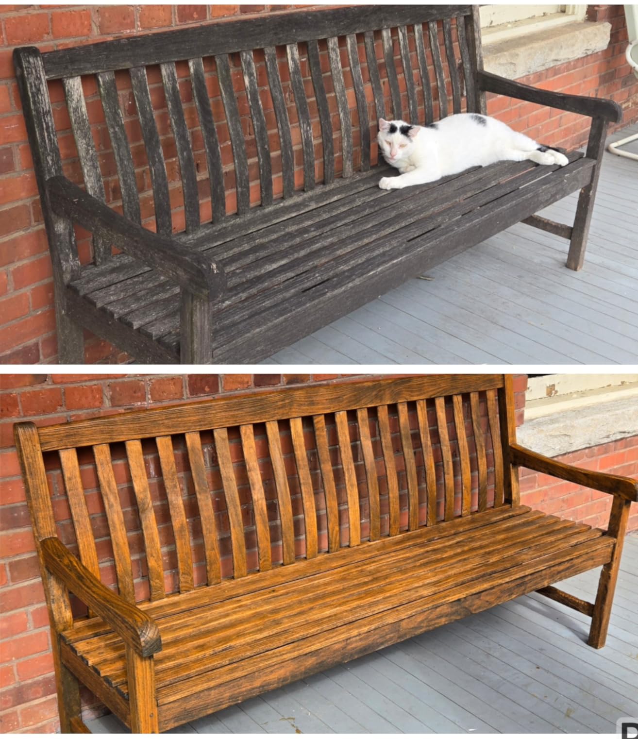 SaverSystems #1 Deck Premium Semi-Transparent Outdoor Wood Stain and Sealer in One - Water Based Wood Stain for Decks, Fences, & Siding - 1 Gallon (Cedar) - Customer Photo 2