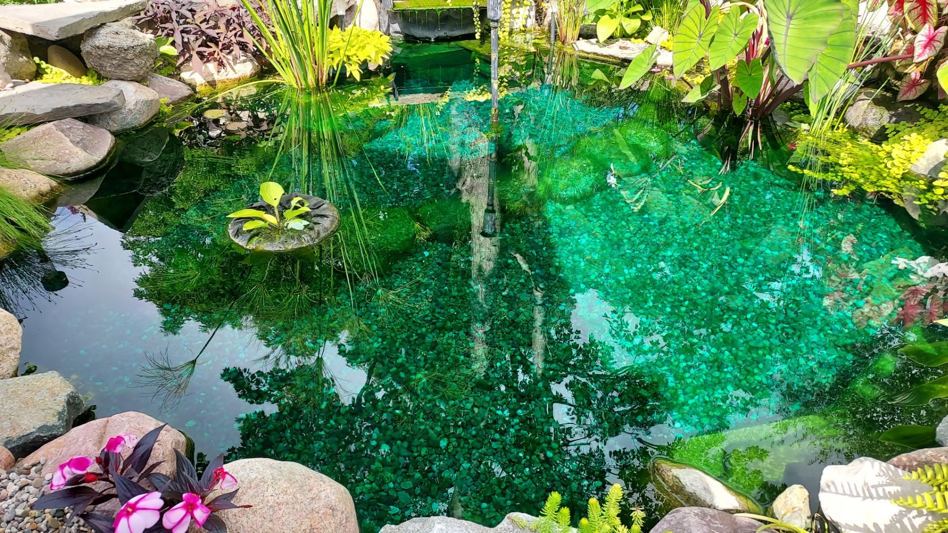 HALF OFF PONDS Savio Select 4,000 GPH Submersible Pump Pond Kit with 20' x 20' EPDM Rubber Pond Liner for Water Garden & Koi Pond - Customer Photo 2