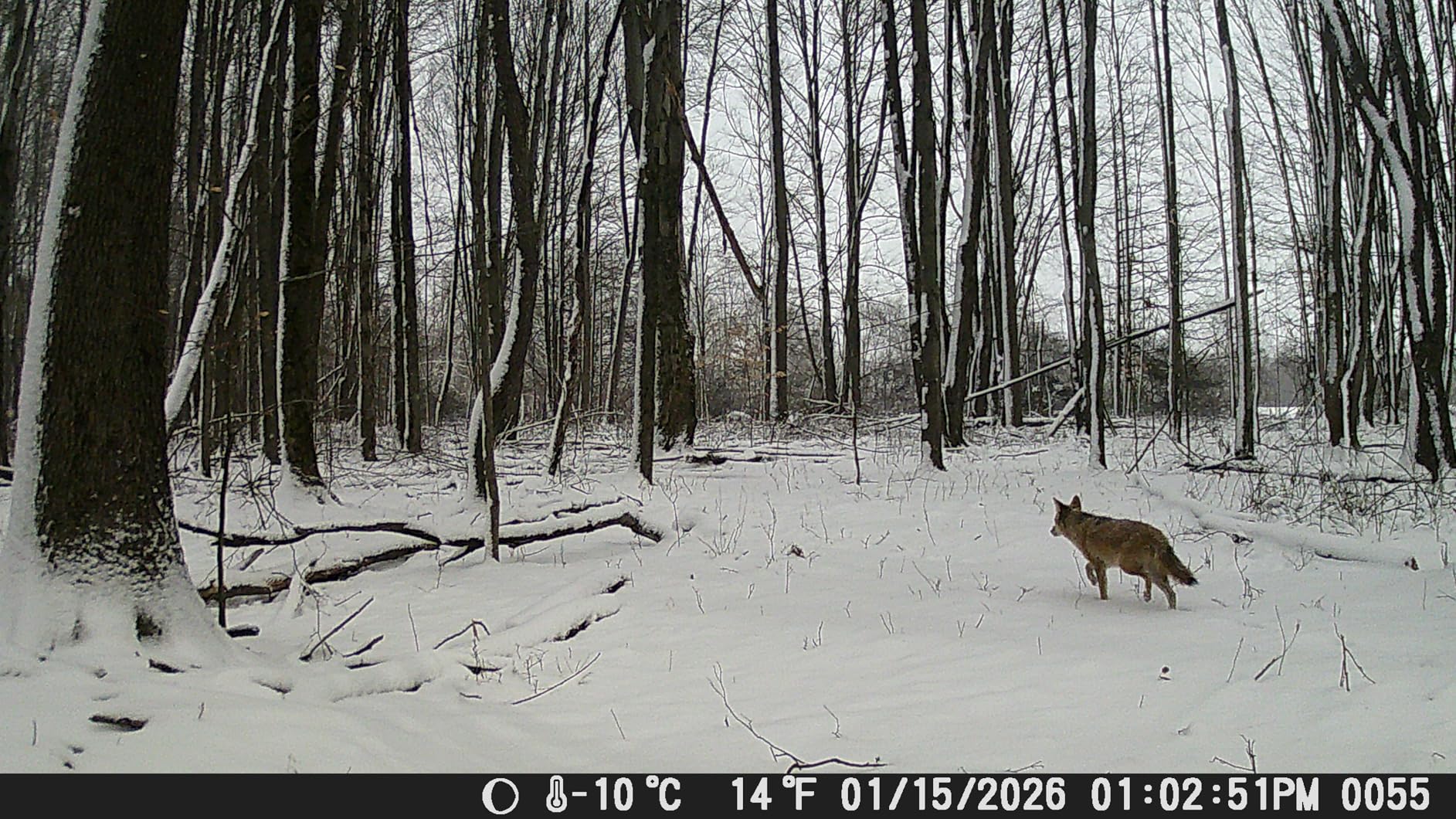 SmartQ C368 USB 3.0 Card Reader - Plug & Play, Compatible with Apple & Windows, Supports SD, Micro SD, MS, CF Cards - Customer Photo 1