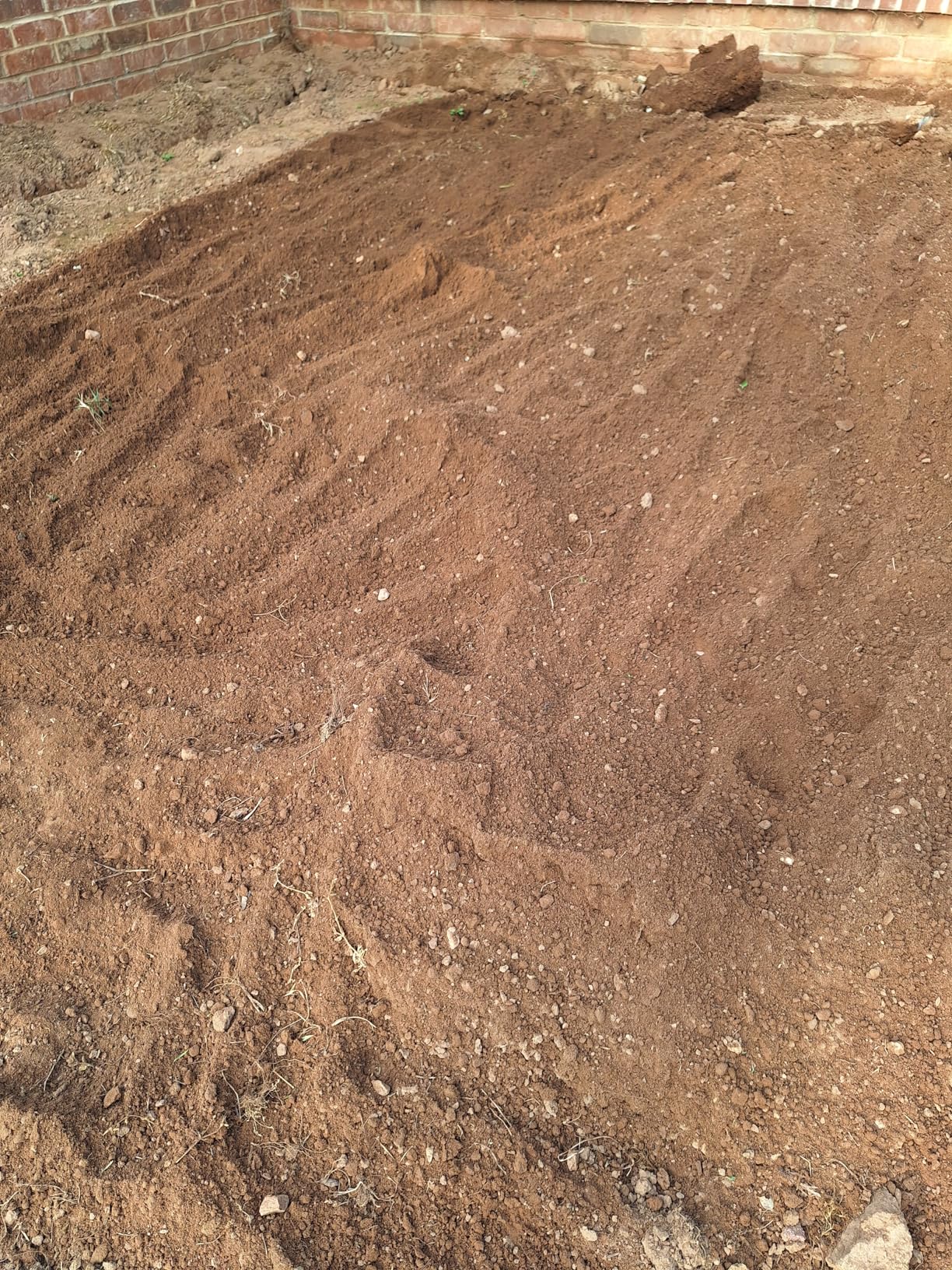 Earthwise TC70025 7.5-Inch 2.5-Amp Corded Electric Tiller/Cultivator, 7.5-Inch, 2.5-Amp Corded, Grey - Customer Photo 1