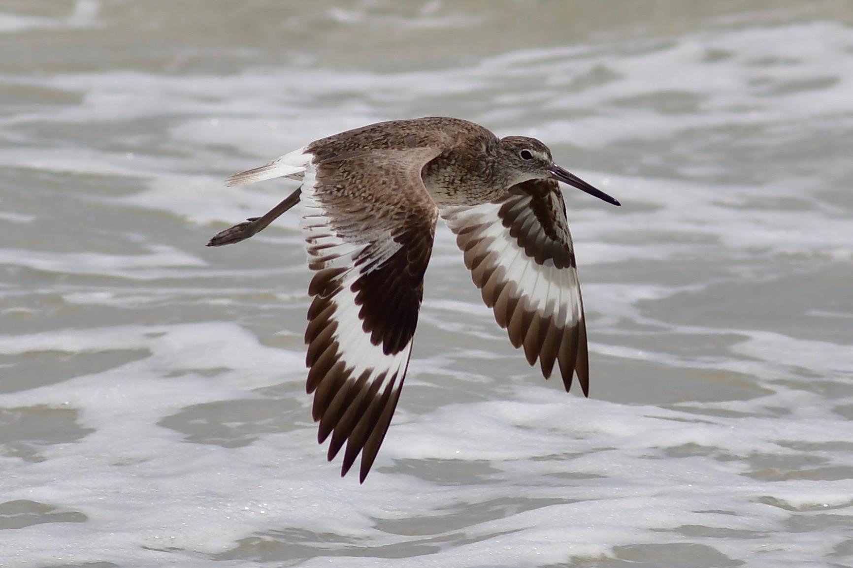 Nikon D7500 20.9MP DSLR Camera with AF-S DX NIKKOR 18-140mm f/3.5-5.6G ED VR Lens, Black - Customer Photo 4