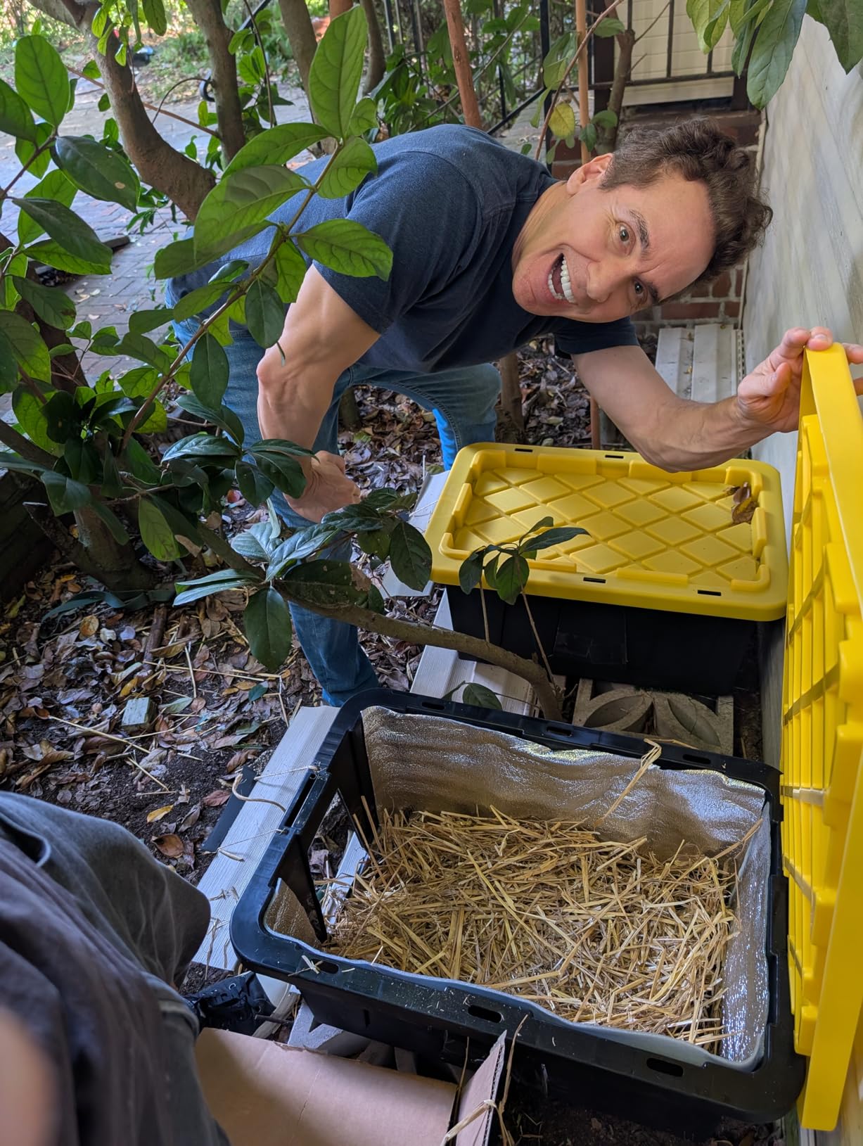 HOMZ 2-Pack Durabilt, Heavy Duty Plastic Storage Bins with Lids, 15 Gallon, Black/Yellow - Stackable Container Boxes for Home, Attic, and Garage Organization - Customer Photo 2