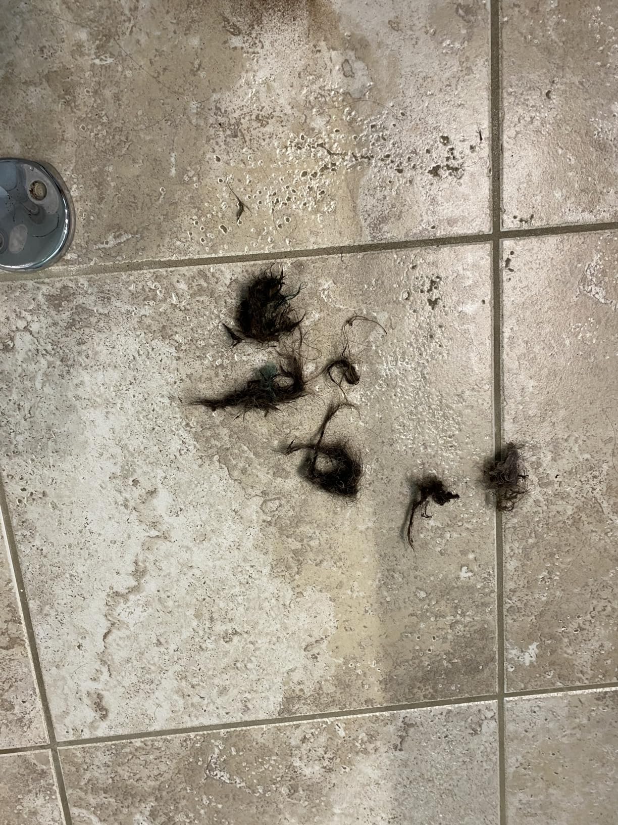 RIDGID 55808 PowerClear 120-Volt Drain Cleaning Machine Kit for Tubs, Showers, and Sinks, Drain Cleaner Machine Kit with AUTOFEED, Inner Core Cable, and Guide Hose - Customer Photo 1