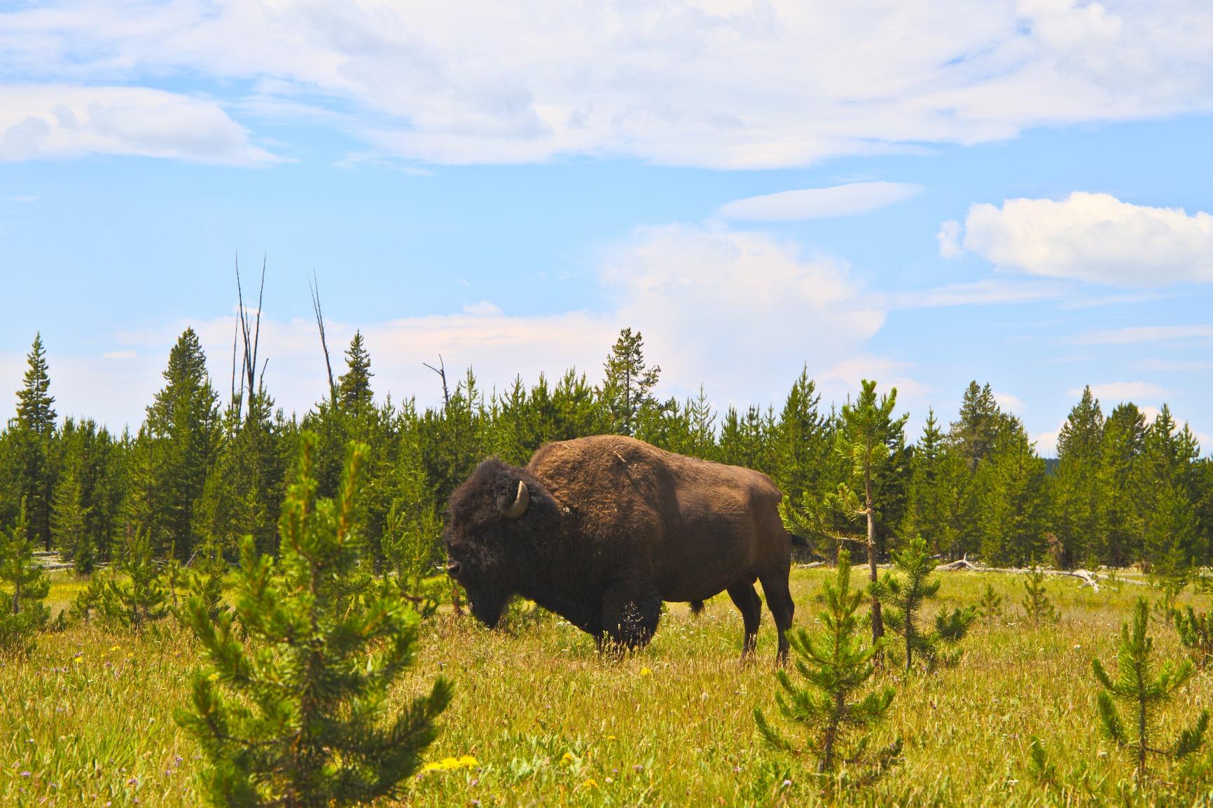 Canon EOS 6D Mark II DSLR Camera with EF 24-105mm USM Lens, WiFi Enabled Black - Customer Photo 1