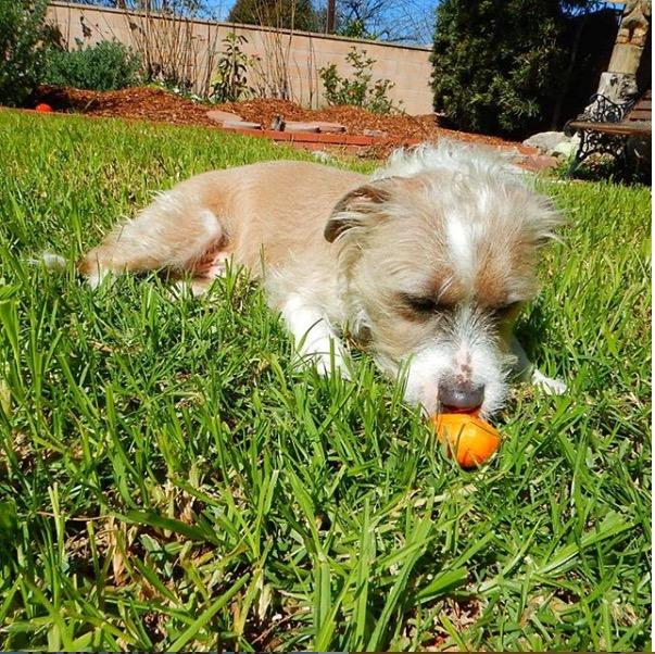 Nikon W300 Waterproof Underwater Digital Camera with TFT LCD, 3