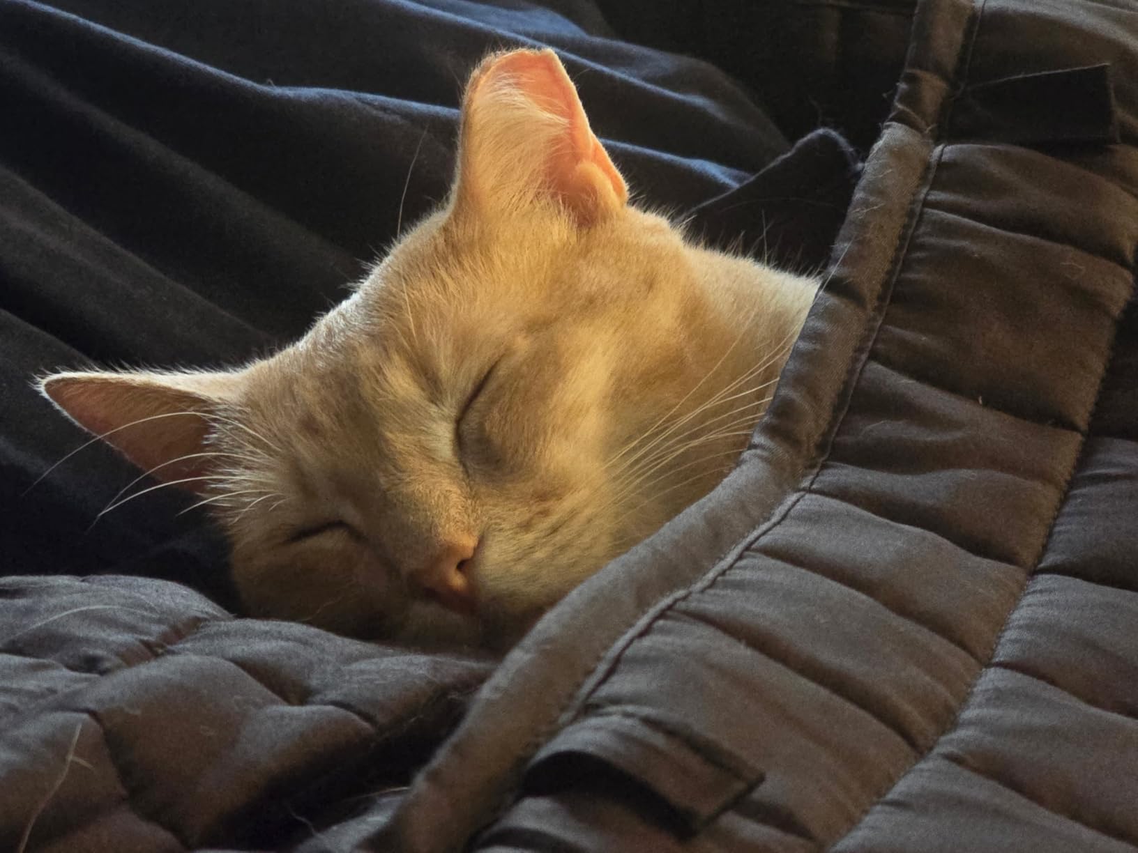 YnM 15lbs Weighted Blanket for Adults, Heavy Bed Throw Blanket with Cooling Glass Beads for All Season Use, Ideal for ~90lbs (48x72 Inches, Twin/Full, Dark Grey) - Customer Photo 2