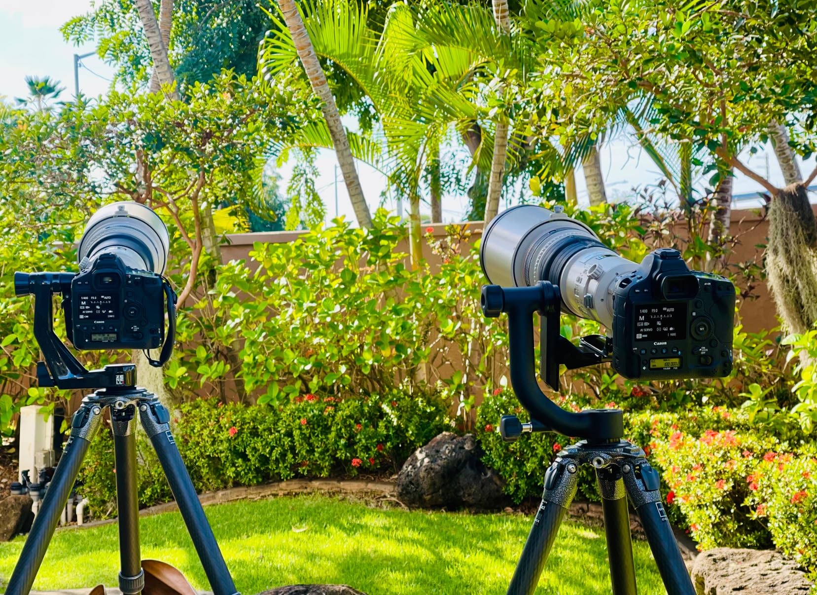 Gitzo GT5543LSUS Lightweight Systematic Tripod SER.5 4S L, Black Customer Review Gitzo GT5543LSUS Lightweight Systematic Tripod SER.5 4S L, Black - Customer Photo 2