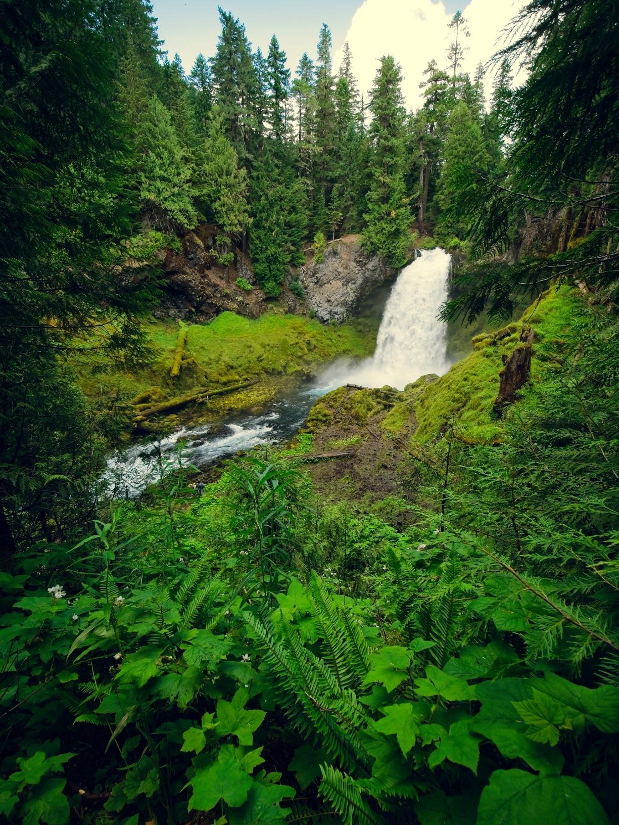 Laowa 7.5mm f/2 (Standard Black) for MFT - Customer Photo 2