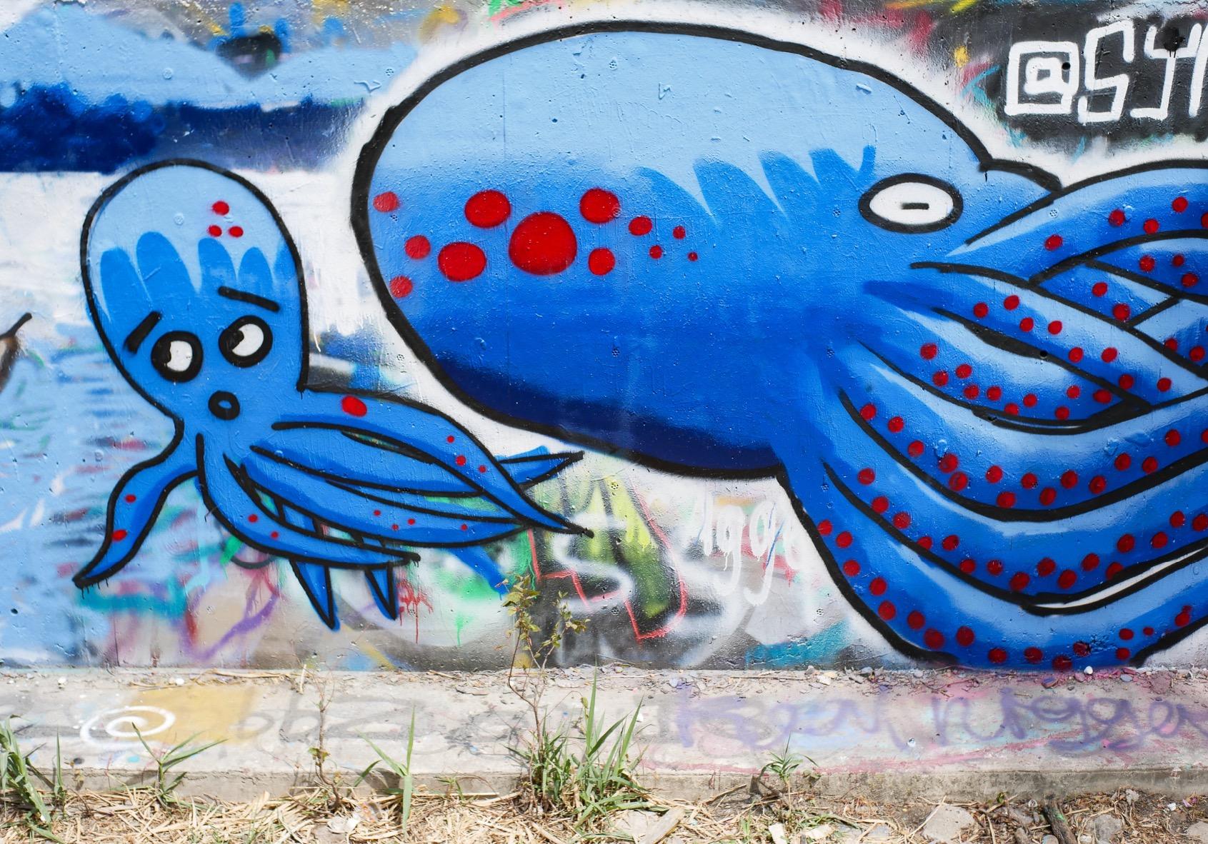 7artisans 25mm F1.8 Manual Focus Prime Fixed Lens for Olympus and Panasonic Micro Four Thirds MFT M4/3 Cameras - Black - Customer Photo 1