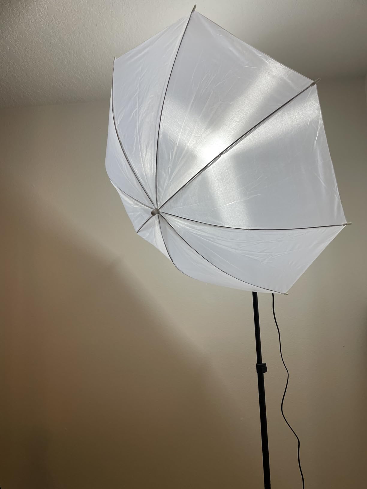 EMART Photography Umbrella Lighting Kit, 200W 5500K Photo Portrait Continuous Reflector Lights for Camera Video Studio Shooting Daylight (1 Pack) Customer Review EMART Photography Umbrella Lighting Kit, 200W 5500K Photo Portrait Continuous Reflector Lights for Camera Video Studio Shooting Daylight (1 Pack) - Customer Photo 1