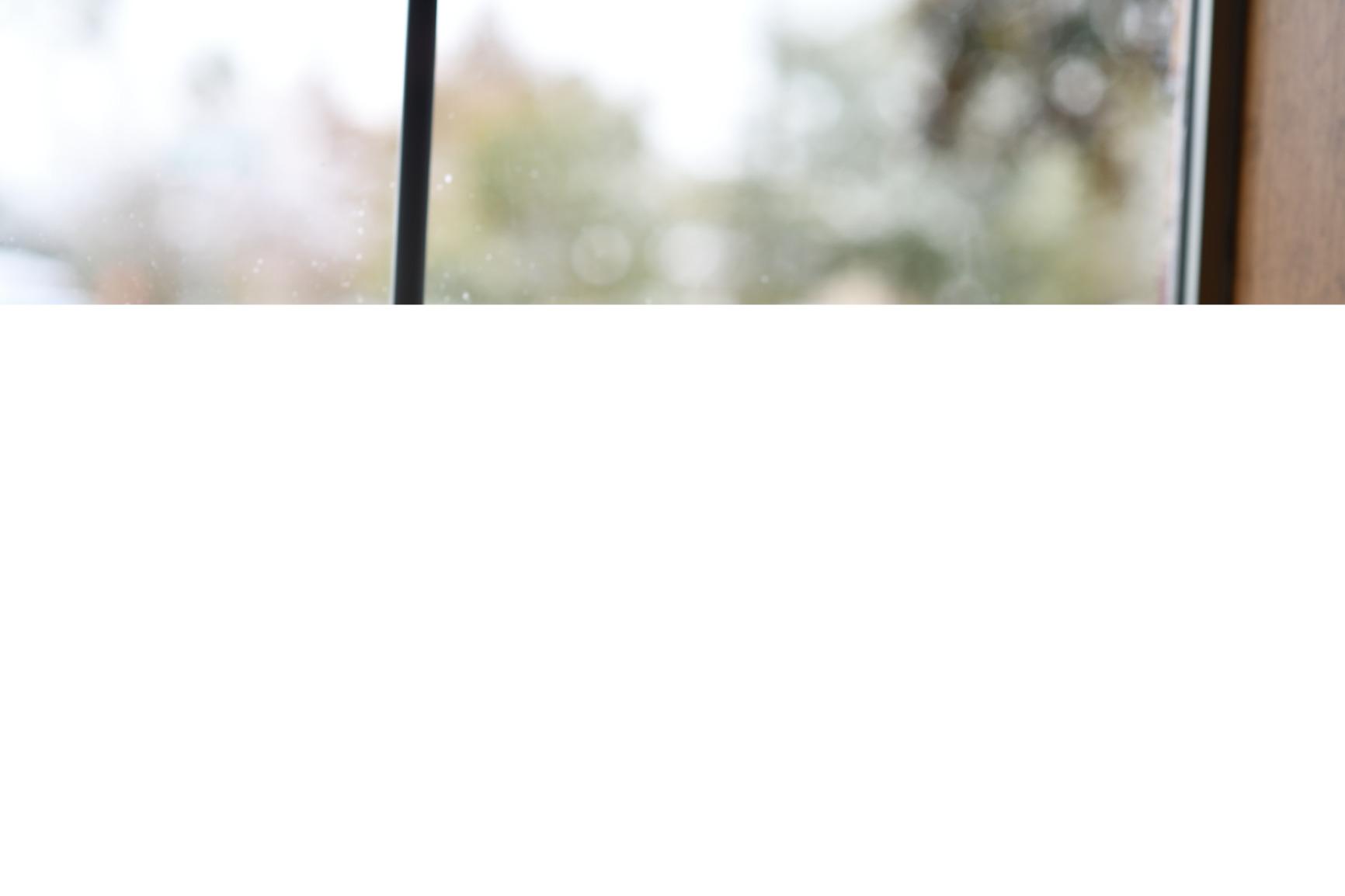 Nikon D850 FX-Format Digital SLR Camera Body - Customer Photo 4