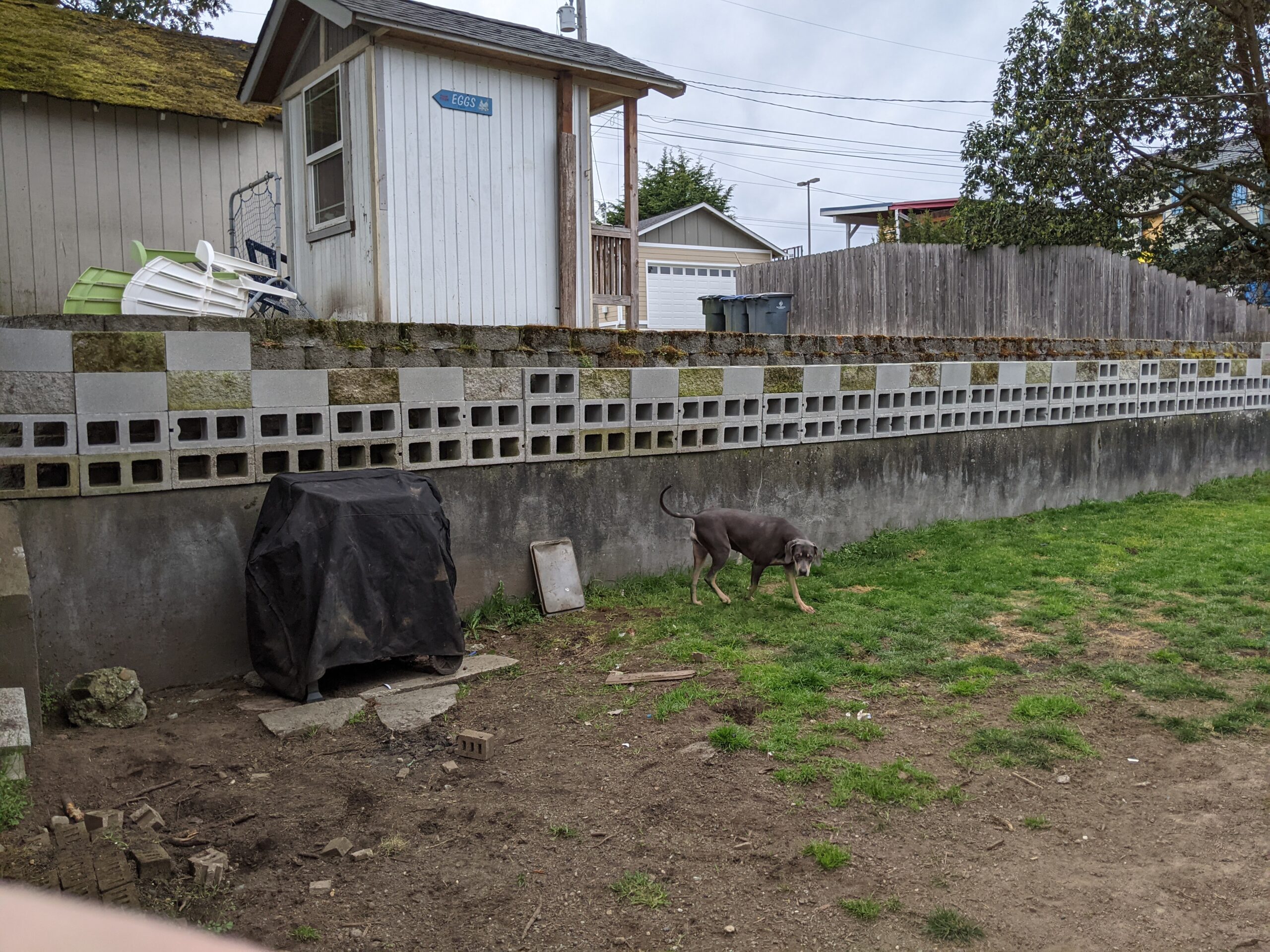 Loctite PL 500 Landscape Block & Stone Construction Adhesive, 10 fl oz Cartridge, 12 Pack - Customer Photo 1