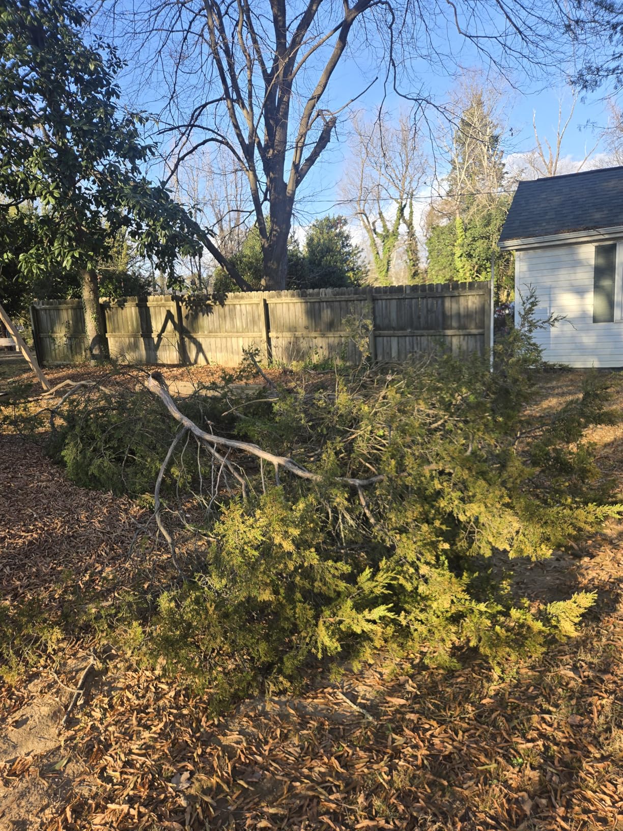 Worx WG323 20V Power Share 10