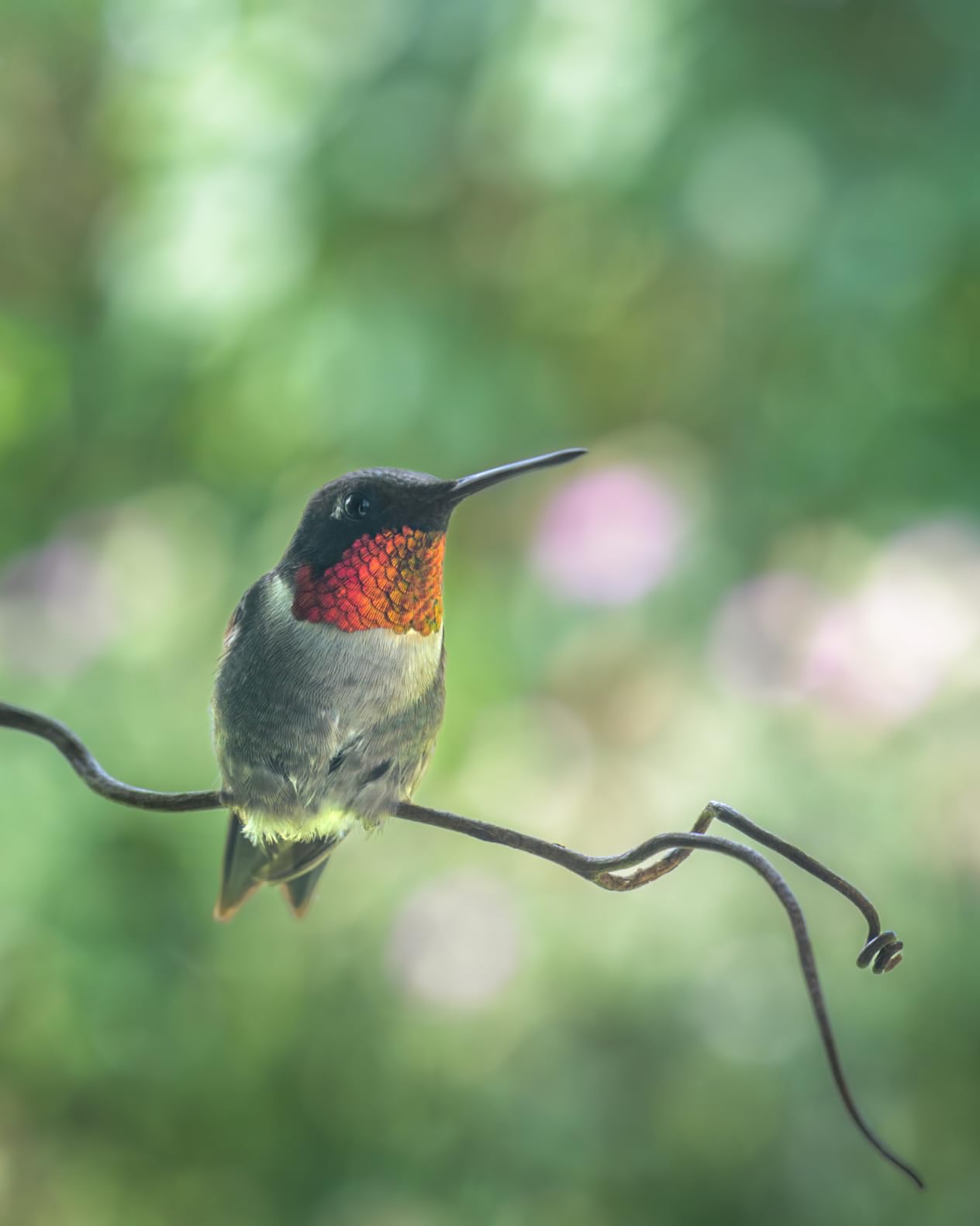 Godox XproC Xpro-C TTL Wireless Flash Trigger for Canon, 1/8000s HSS TTL-Convert-Manual Function Large Screen Slanted Design 5 Dedicated Group Buttons 11 Customizable Functions (XProC for Canon) - Customer Photo 3