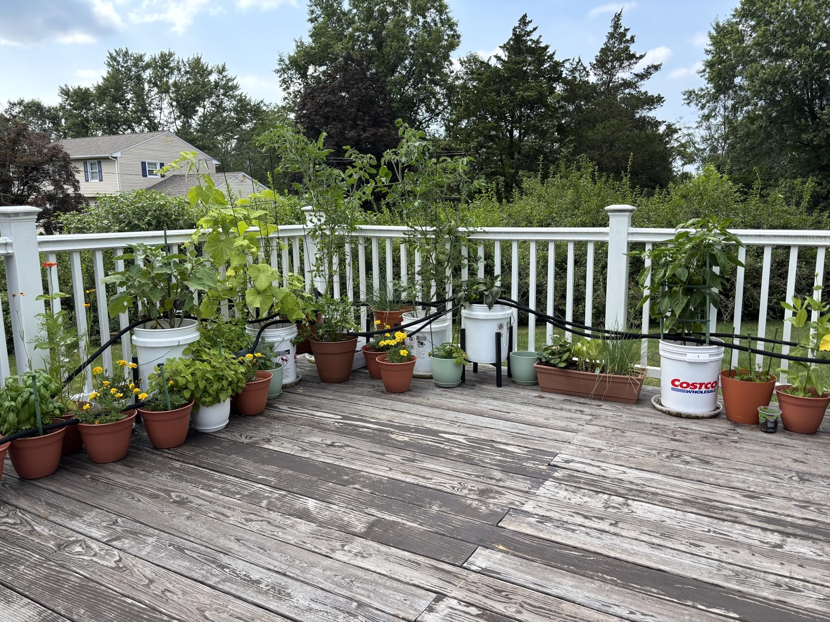 Rocky Mountain Goods Soaker Hose - Heavy duty rubber - Saves 70% water - End cap included for additional hose connect - Great for gardens/flower beds - Reinforced fittings (50-Feet by 5/8-Inch) customer photo 1