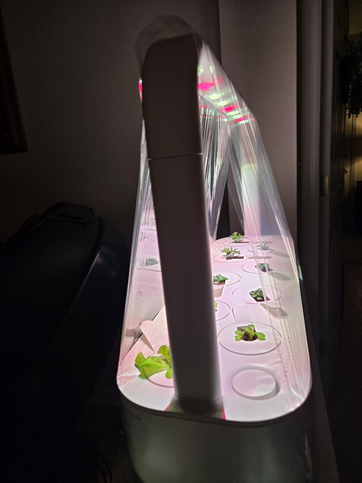 Click & Grow Indoor Herb Garden Kit with Grow Light | Easier Than Hydroponics Growing System | Smart Garden for Home Kitchen Windowsill | Vegetable & Herb Garden Starter Kit with 9 Plant pods, Gray - Customer Photo 1