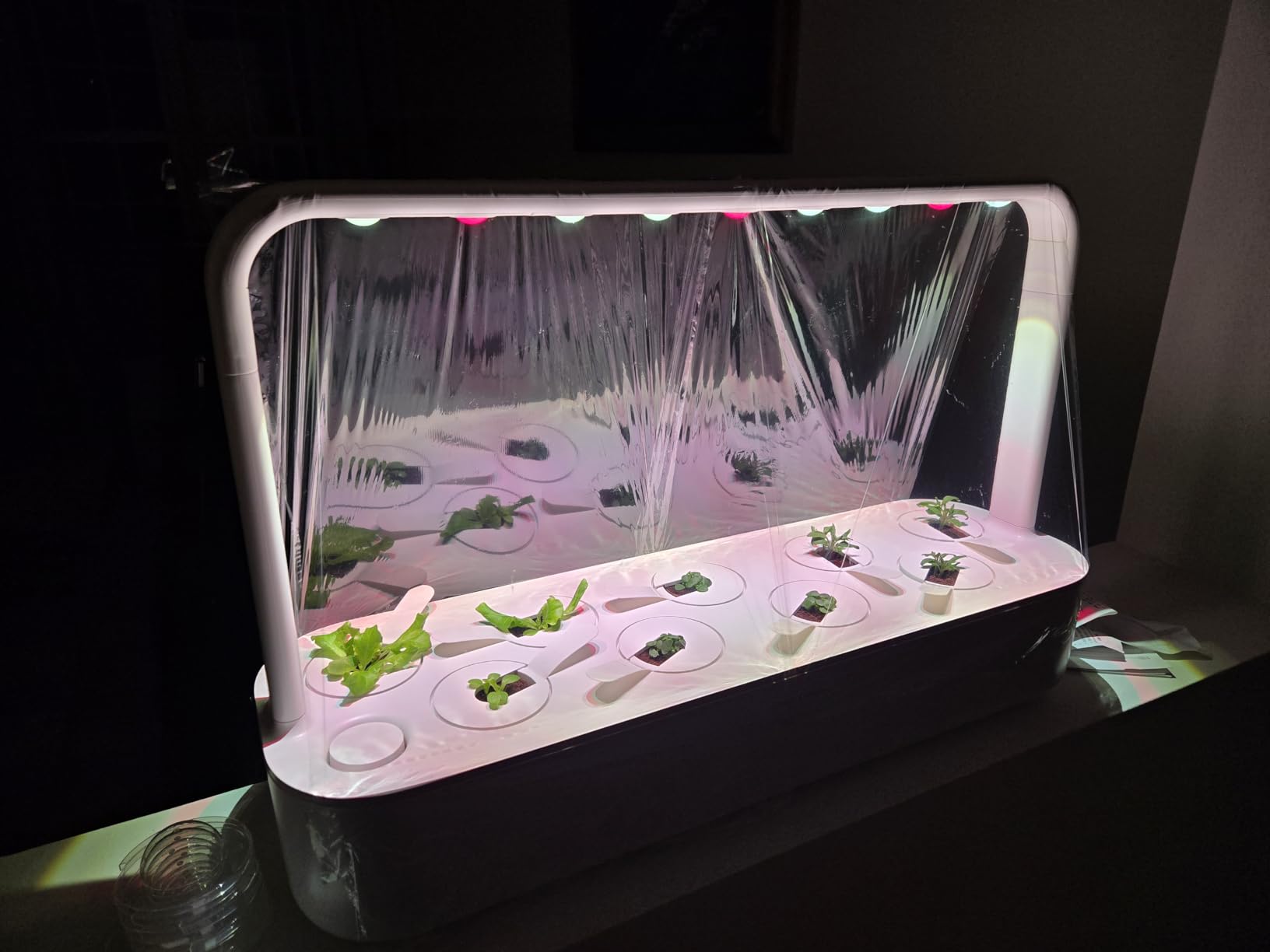 Click & Grow Indoor Herb Garden Kit with Grow Light | Easier Than Hydroponics Growing System | Smart Garden for Home Kitchen Windowsill | Vegetable & Herb Garden Starter Kit with 9 Plant pods, Gray - Customer Photo 2