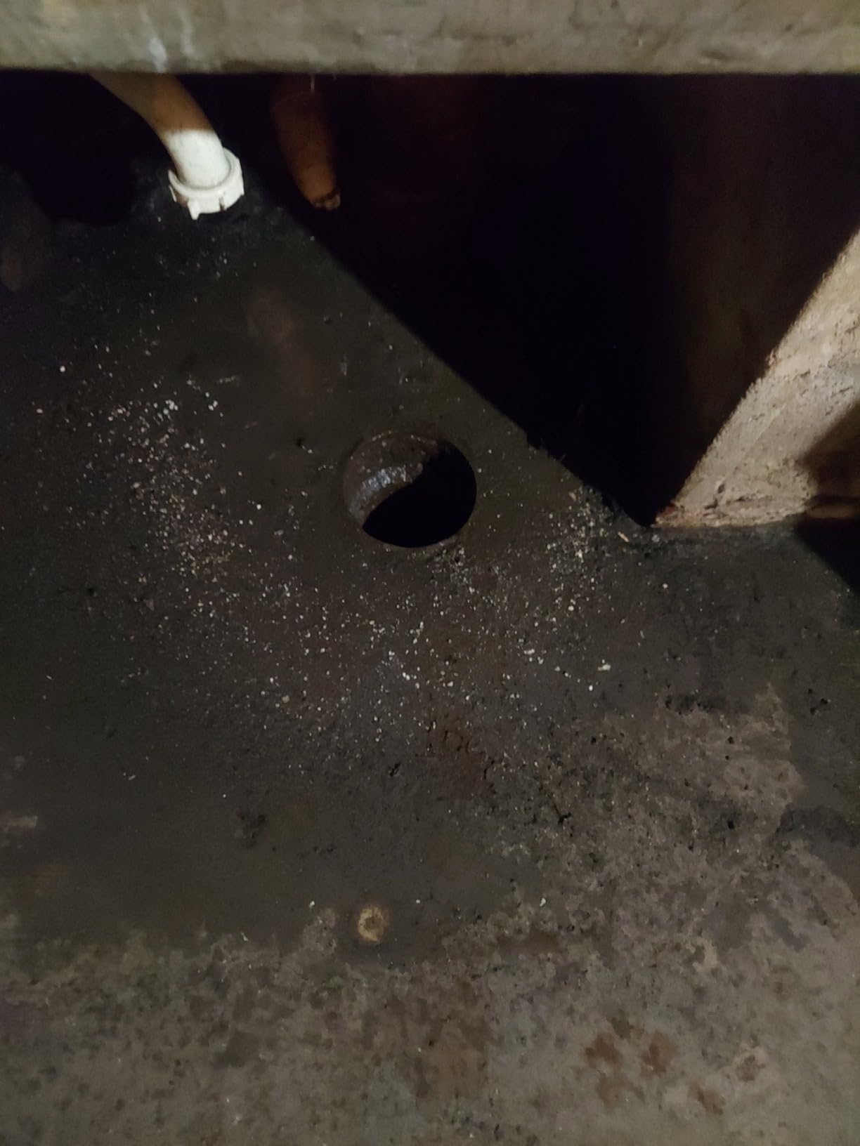 Milwaukee 2772A-21 18-Volt 5/16-Inch x 35-Foot Cordless Drain Snake Kit - Customer Photo 2