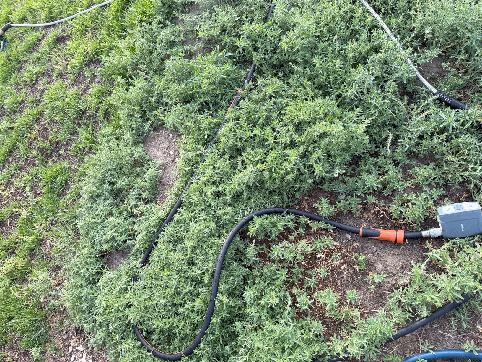 Giraffe Tools Garden Hose 100ft x 5/8