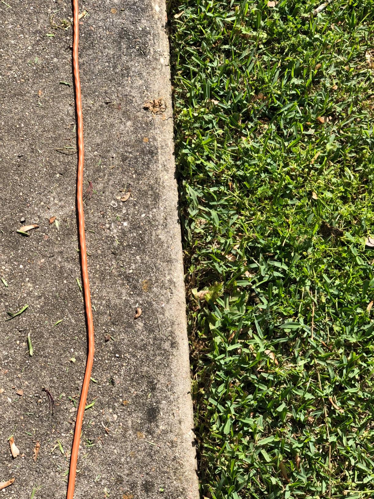 BLACK+DECKER 12 Amp 2-in-1 Landscape Edger and Trencher, (LE760FF) - Customer Photo 1