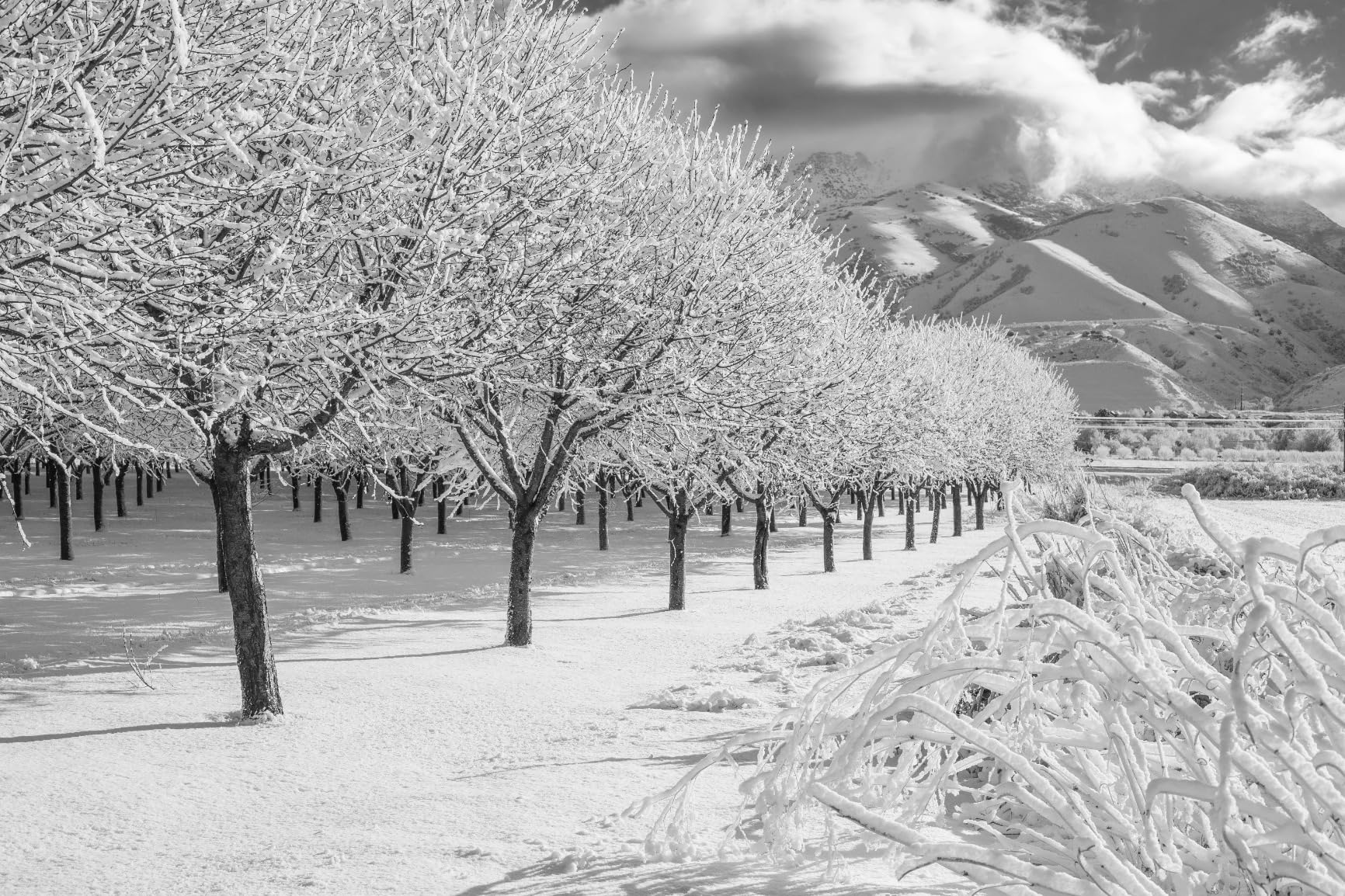 Canon EOS 6D Mark II Digital SLR Camera Body (Renewed) Customer Review Canon EOS 6D Mark II Digital SLR Camera Body (Renewed) - Customer Photo 1