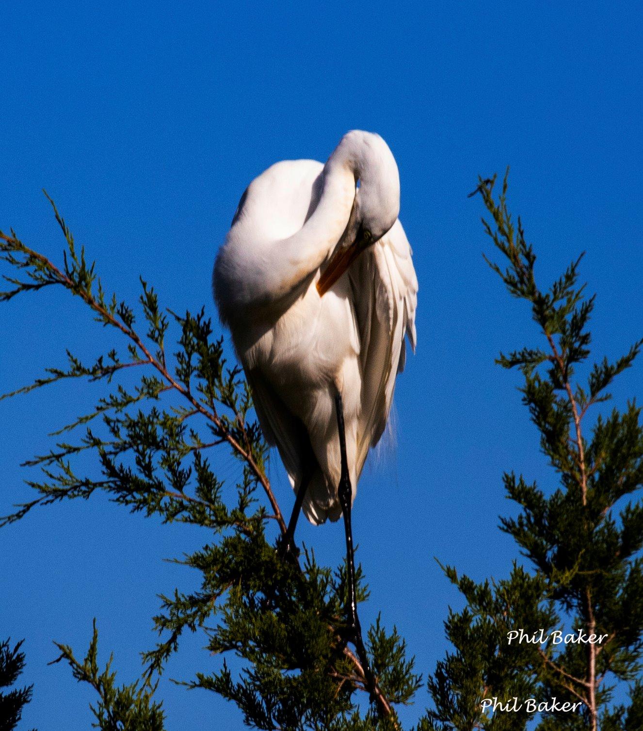 Canon EOS 6D Mark II Digital SLR Camera Body (Renewed) Customer Review Canon EOS 6D Mark II Digital SLR Camera Body (Renewed) - Customer Photo 2