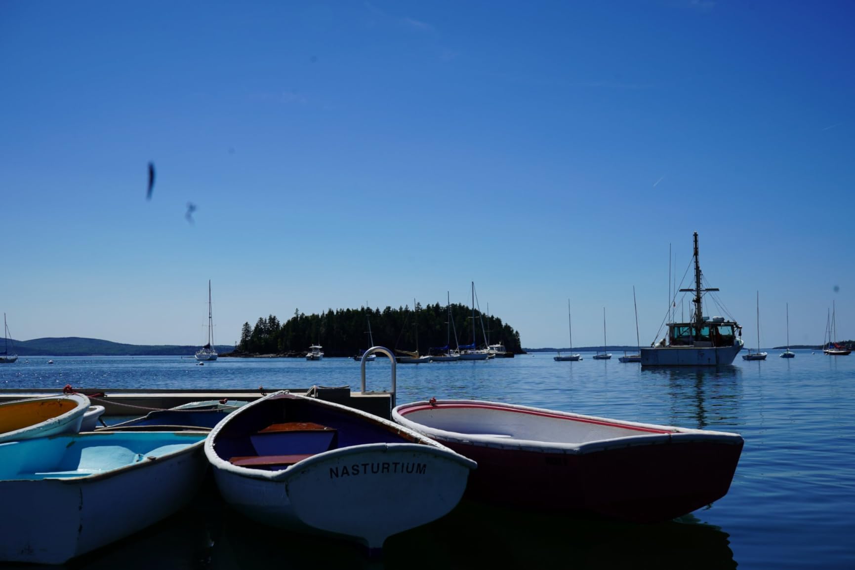 Sony a7 III Full-Frame Mirrorless Camera Body - 24.2MP, 4K HDR Video, 693 Phase Detection Points, BIONZ X Processor Customer Review Sony a7 III Full-Frame Mirrorless Camera Body - 24.2MP, 4K HDR Video, 693 Phase Detection Points, BIONZ X Processor - Customer Photo 3