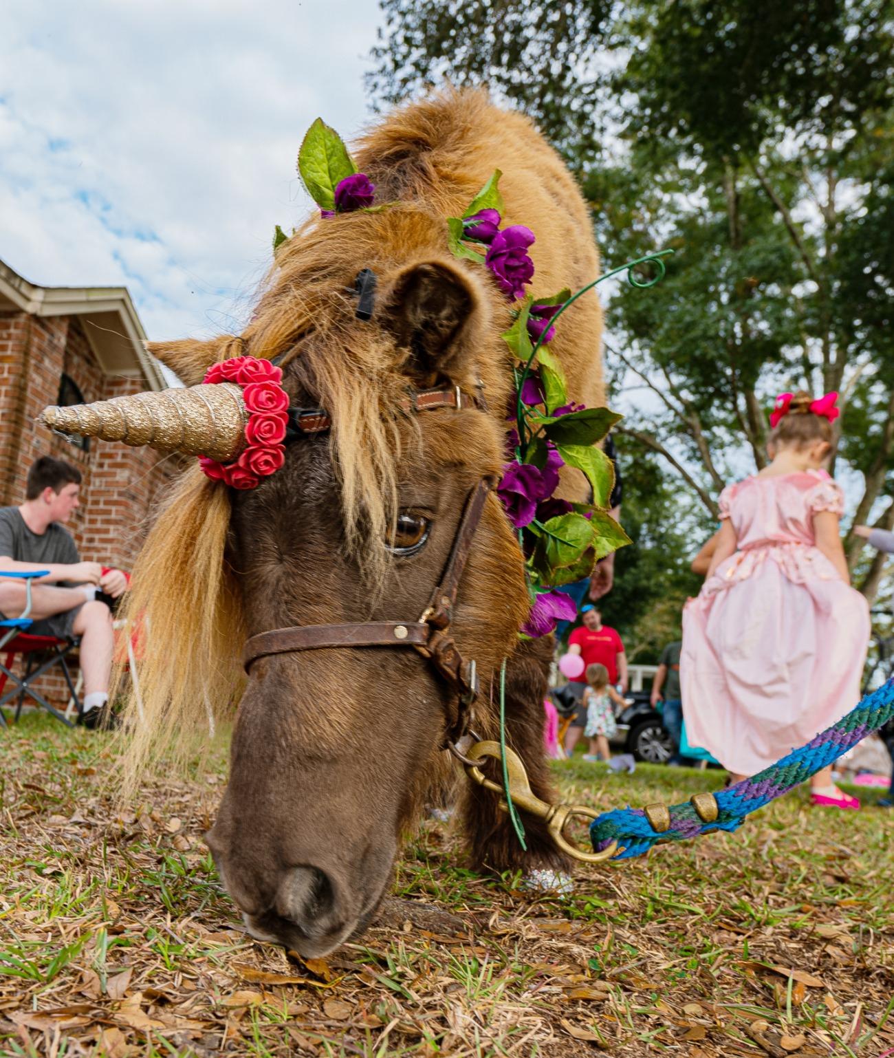 Sigma 14mm f/1.8 Art DG HSM Lens for Sony E Mount - Ultra Wide Angle Fast Aperture Prime Lens for Astrophotography and Low Light Photography - Customer Photo 2