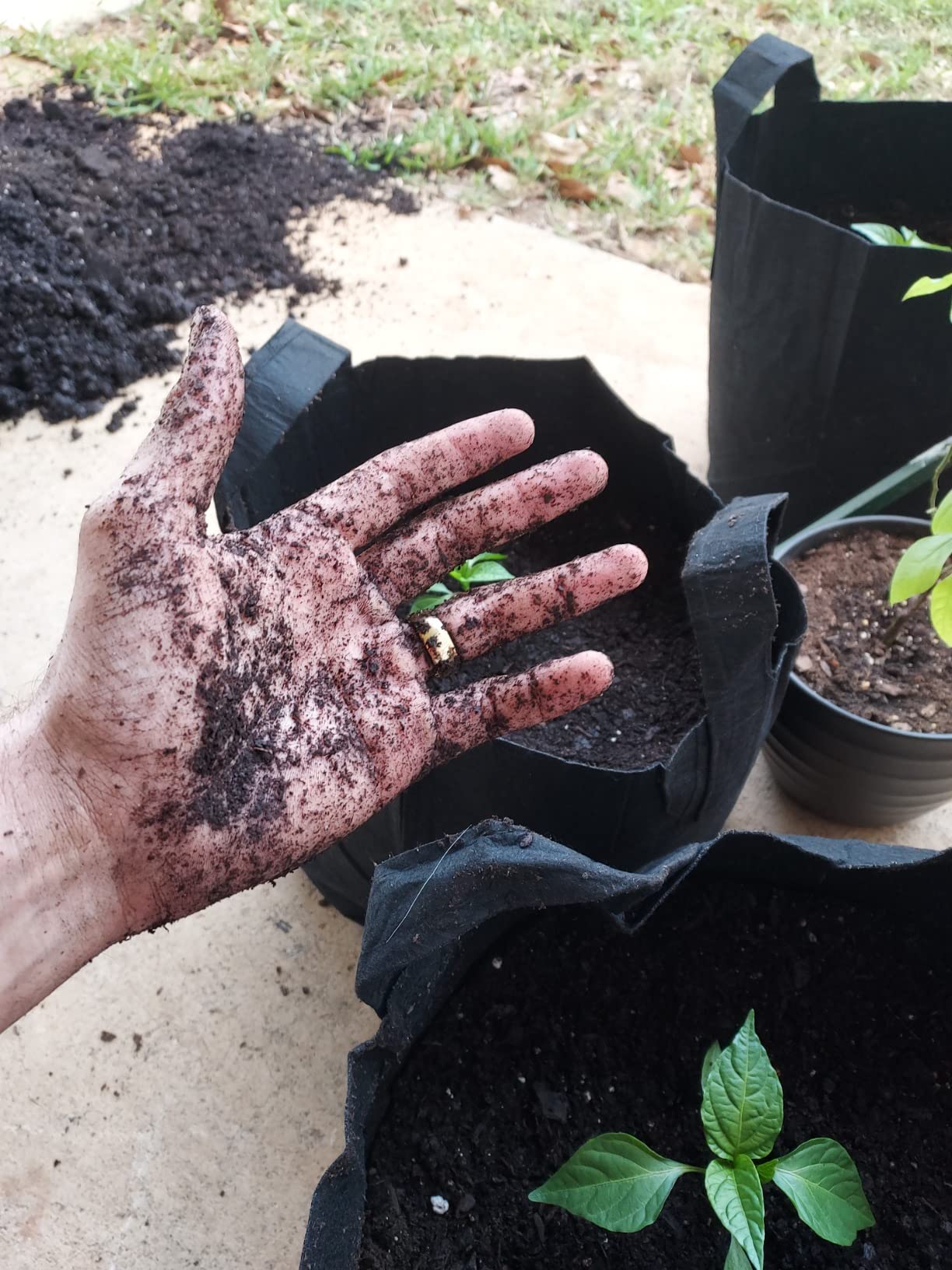 SONKIR Soil pH Meter, MS02 3-in-1 Soil Moisture/Light/pH Tester Gardening Tool Kits for Plant Care, Great for Garden, Lawn, Farm, Indoor & Outdoor Use - Customer Photo 5