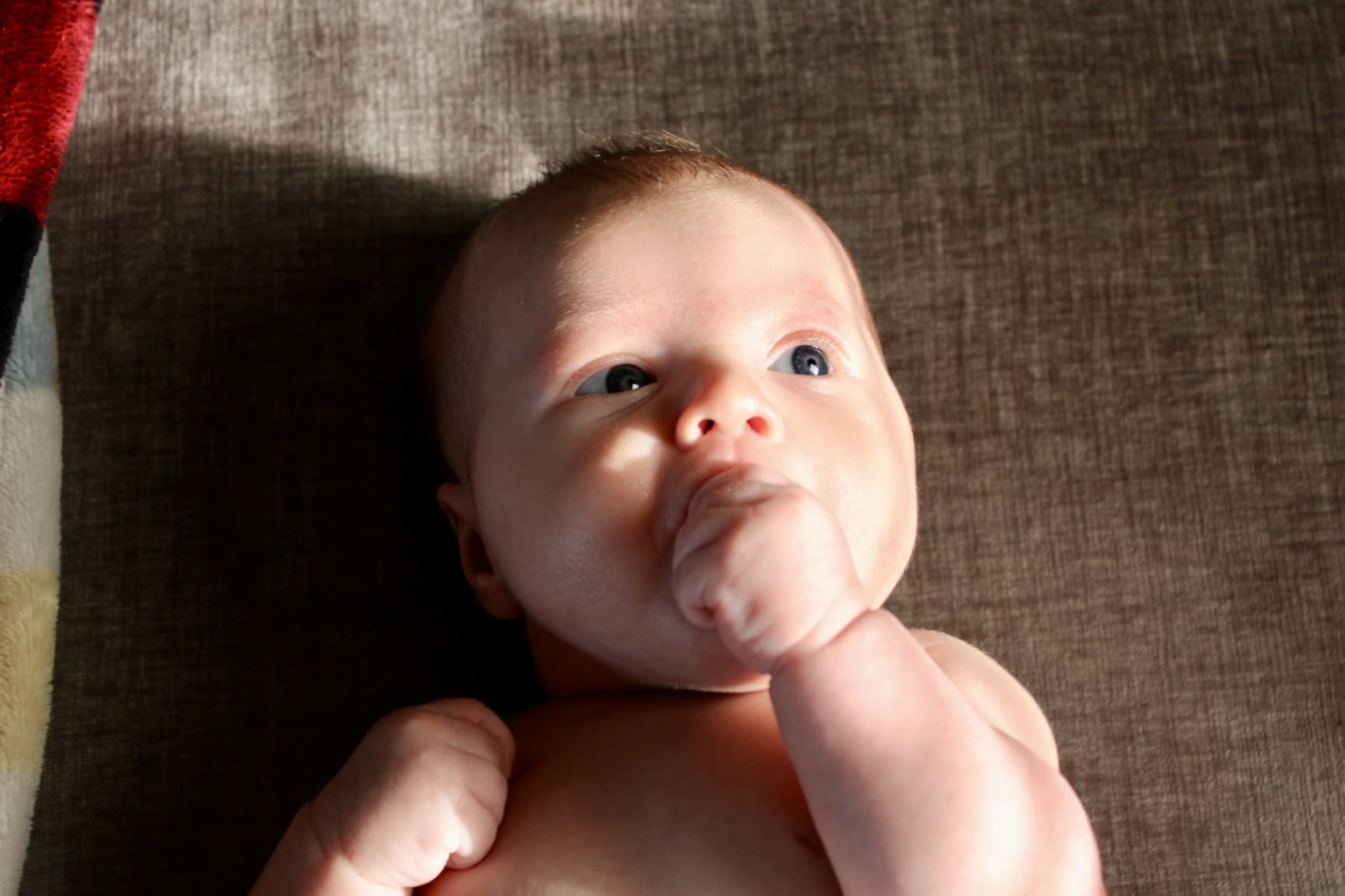 Canon EOS Rebel T7 DSLR Camera with 18-55mm Lens - Customer Photo 1