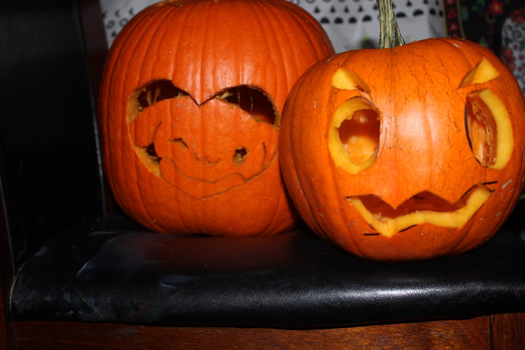 Canon EOS Rebel T7 DSLR Camera with 18-55mm Lens | Built-in Wi-Fi | 24.1 MP CMOS Sensor | DIGIC 4+ Image Processor and Full HD Videos - Customer Photo 2