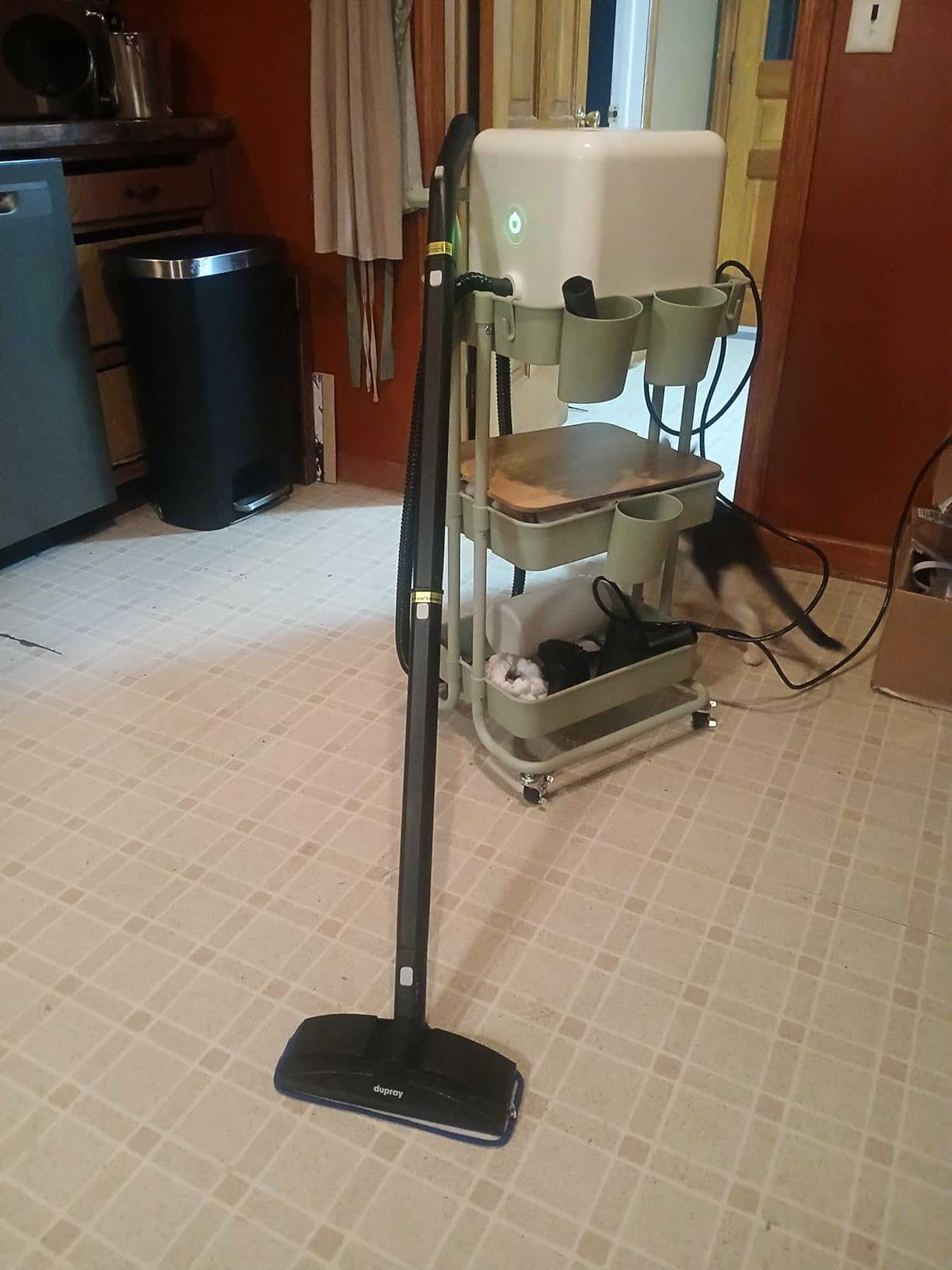 Dupray Neat Steam Cleaner with 17-Piece Kit – Powerful, chemical-free cleaning for floors, cars, tiles, upholstery, kitchen appliances, grout, and more. *Kills 99.9% of Bacteria & Viruses - Customer Photo 2