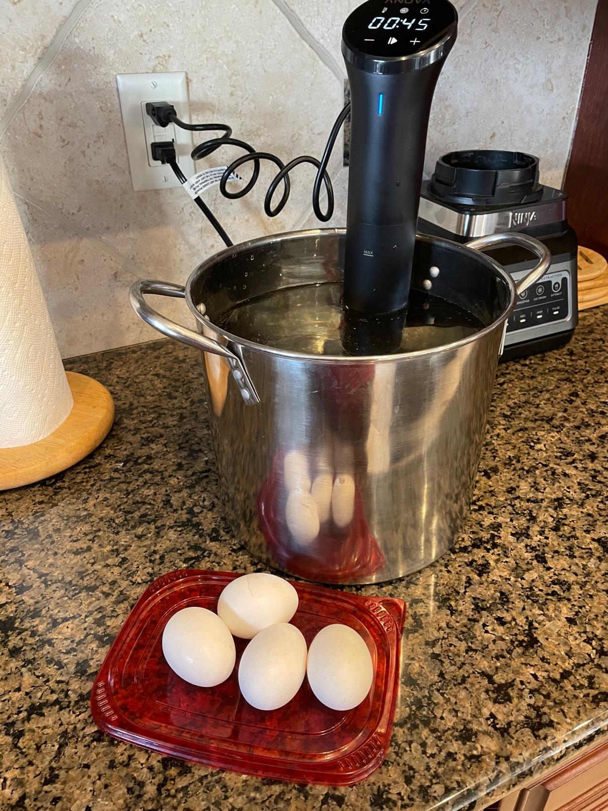 Anova Culinary Sous Vide Precision Cooker Nano 2.0 - Customer Photo 1