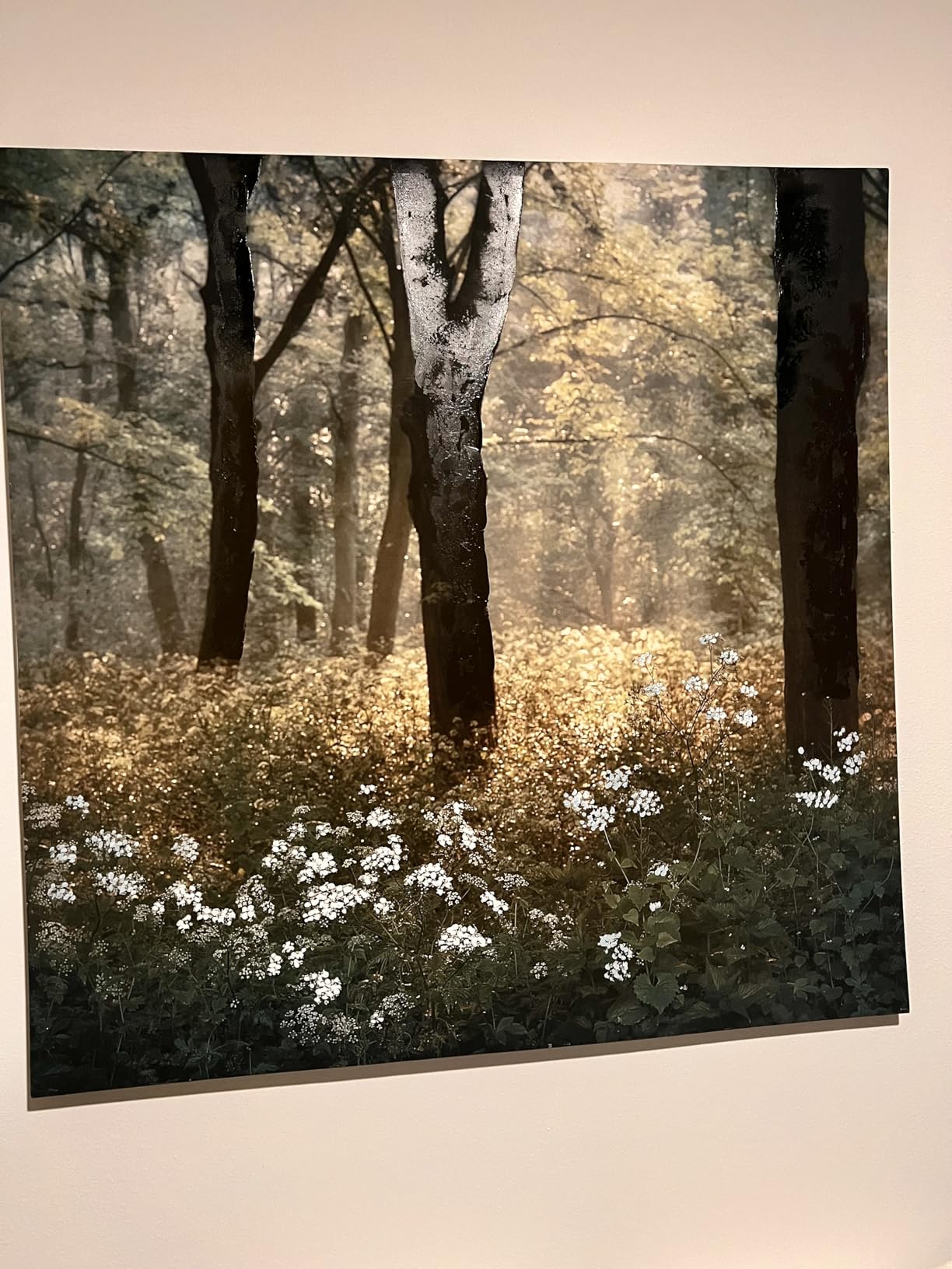 AVID POWER 20V MAX Lithium lon Cordless Drill Set, Power Drill Kit with Battery and Charger, 3/8-Inch Keyless Chuck, Variable Speed, 16 Position and 22pcs Drill Bits (Red) - Customer Photo 2