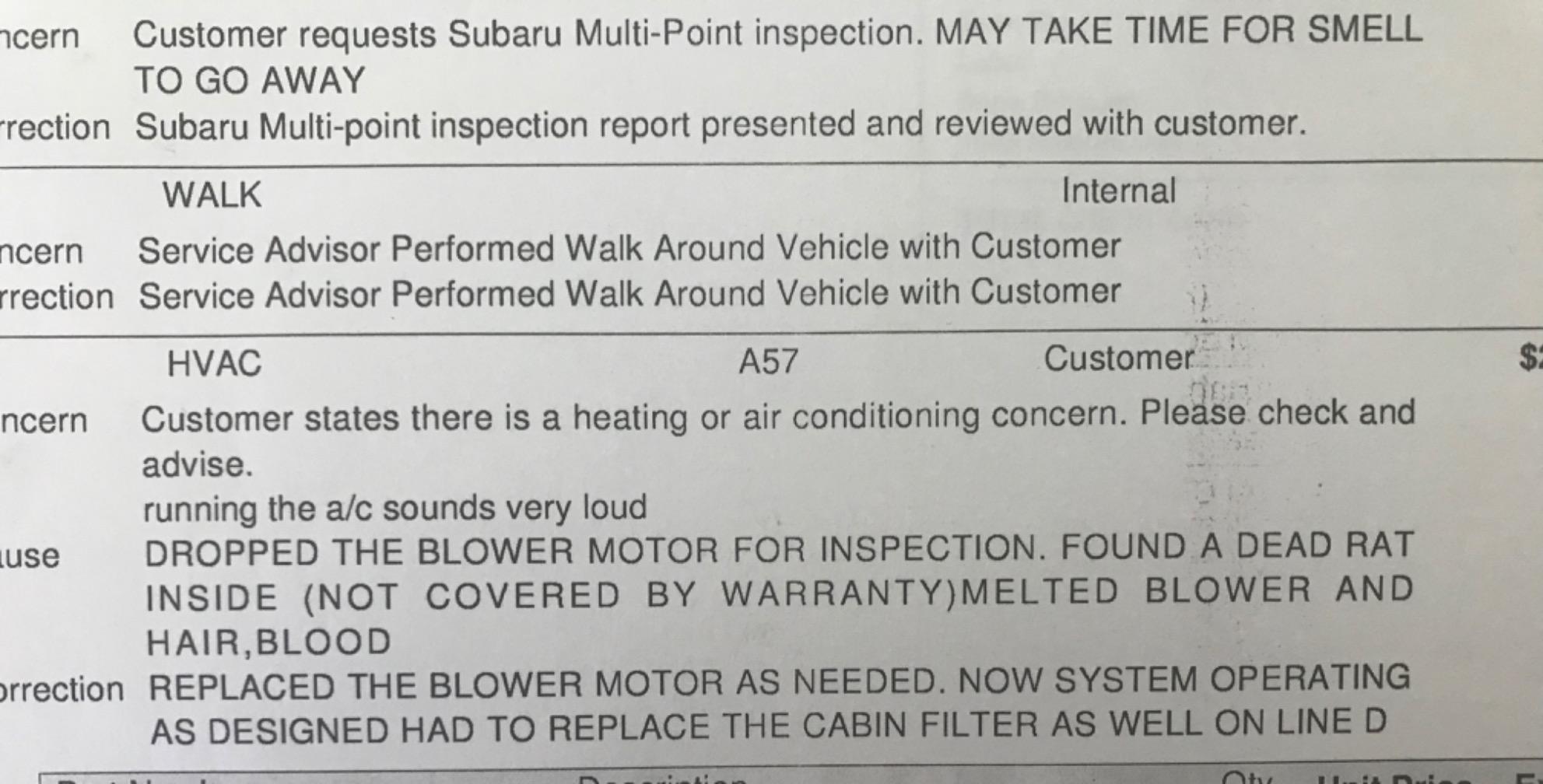 Loraffe Under Hood Rodent Repellent for Car Engines, 12V 24V Ultrasonic Mouse Deterrent with LED Strobe Lights – Mice and Rat Repeller for Truck, RV, Vehicle Engine Protection, Pack of 2 Customer Review Loraffe Under Hood Rodent Repellent for Car Engines, 12V 24V Ultrasonic Mouse Deterrent with LED Strobe Lights – Mice and Rat Repeller for Truck, RV, Vehicle Engine Protection, Pack of 2 - Customer Photo 2