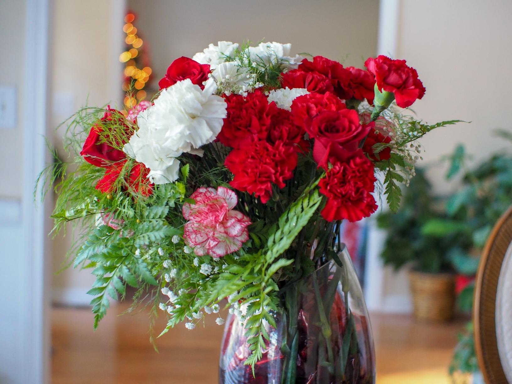 Meike 25mm F1.8 Large Aperture Wide Angle Lens Manual Focus Lens Compatible with Panasonic Lumix Olympus M43 Mount Mirrorless Cameras GH4 GH5 GH6 - Customer Photo 1