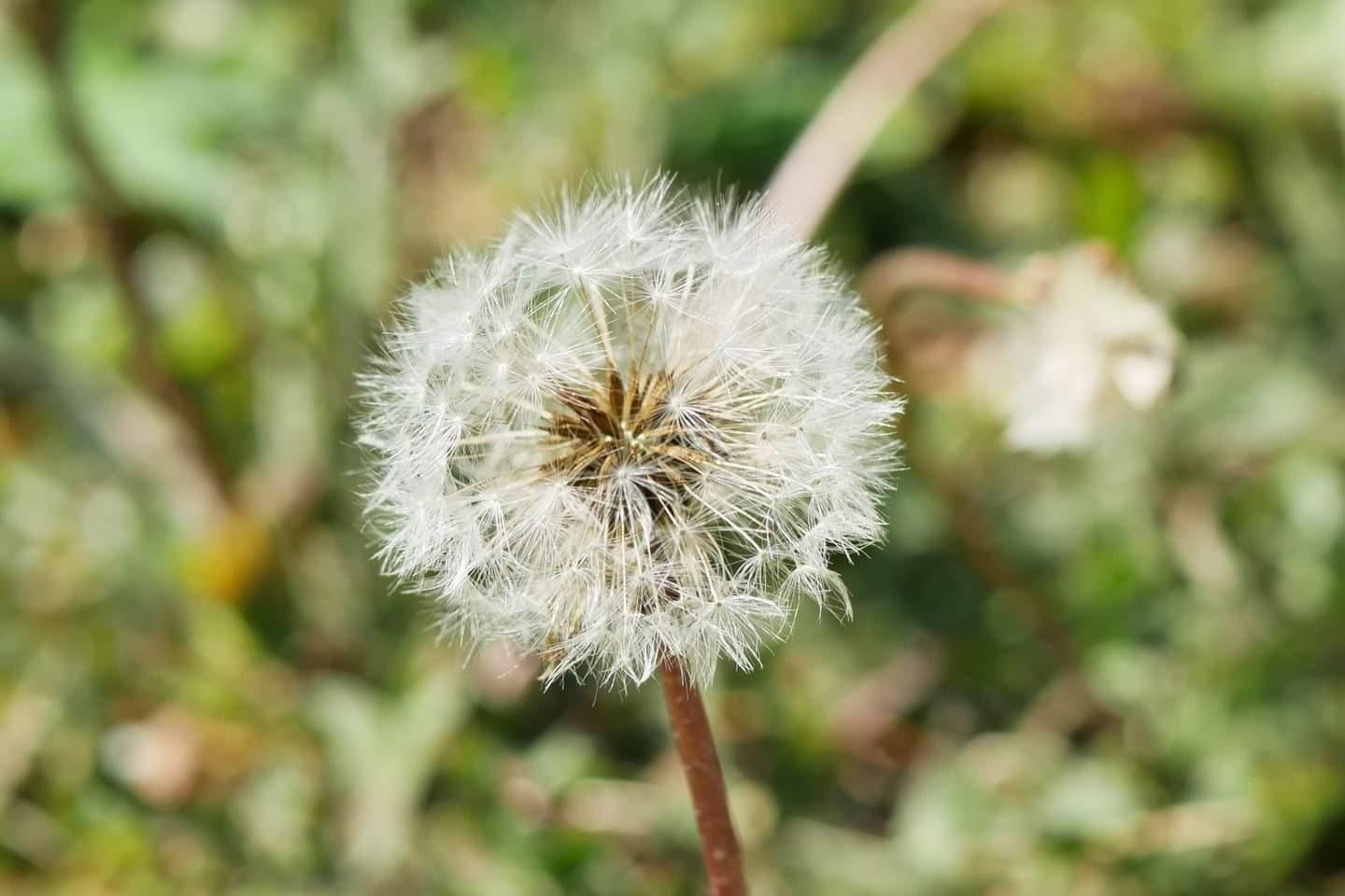 Hoya NXT Plus 58mm UV Filter — Schott B270 Clear Glass with 10-Layer HMC Multi-Coating for 98% Light Transmission, Waterproof Top-Coat, Aluminum Frame - Customer Photo 1